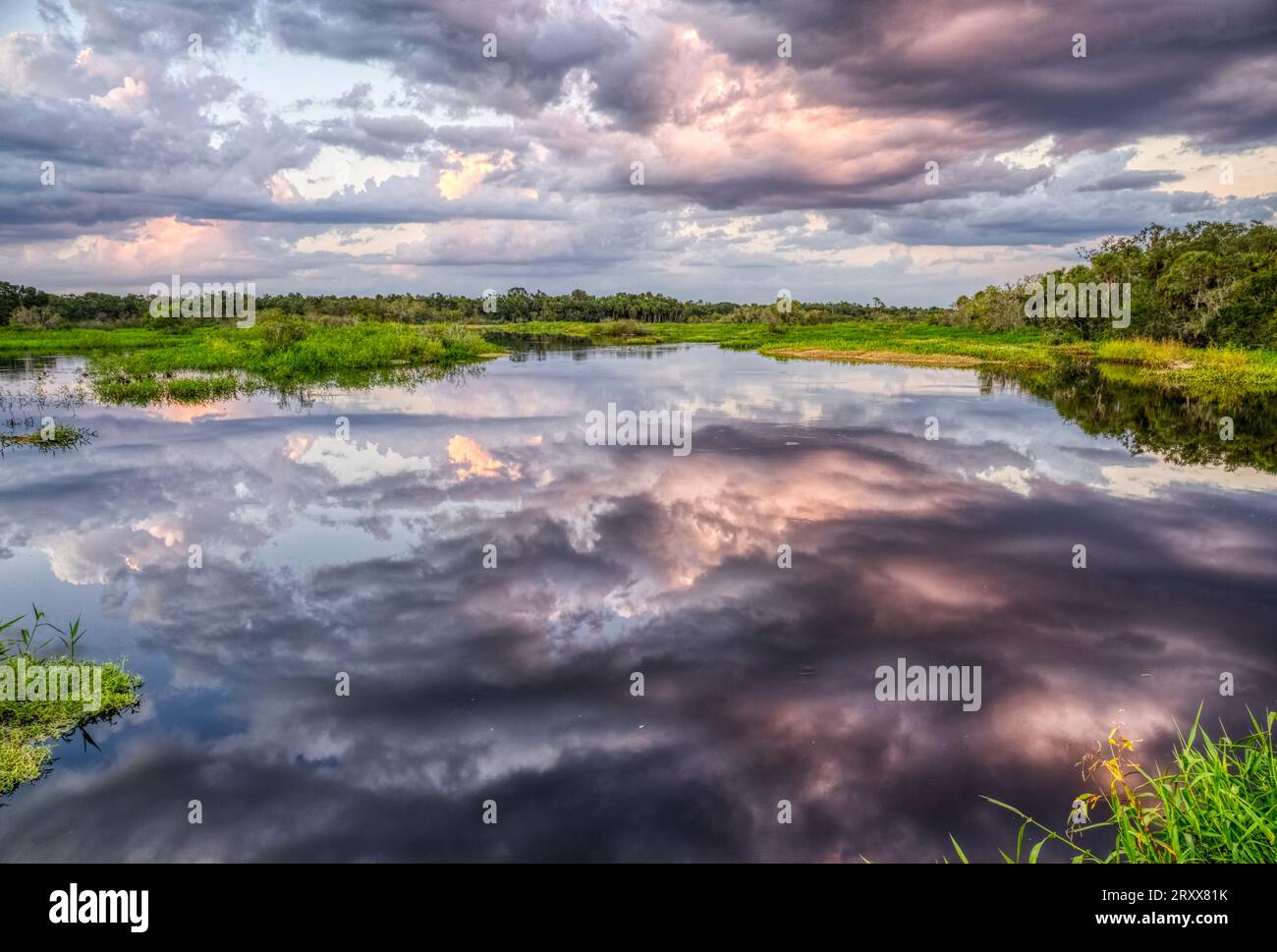 Rosa Wolken über dem Myakka River im Myakka River State Park in Sarasota, Florida, USA Stockfoto