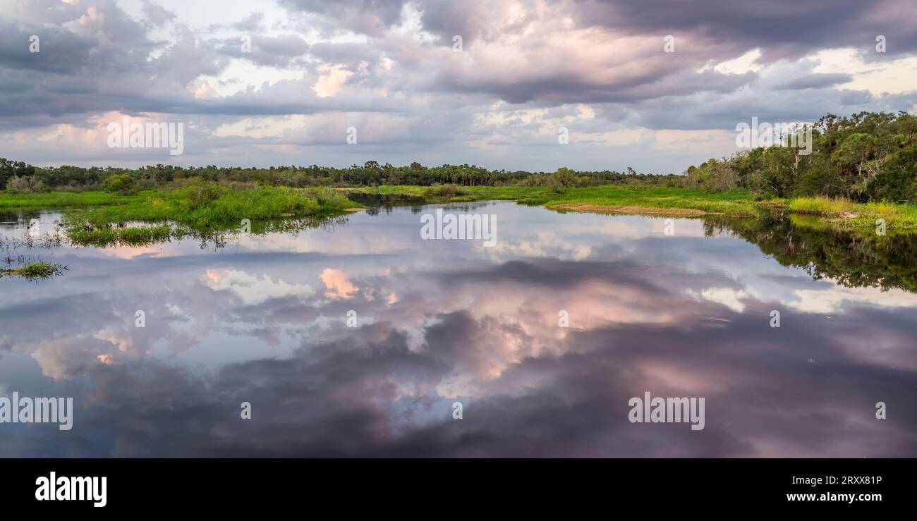 Rosa Wolken über dem Myakka River im Myakka River State Park in Sarasota, Florida, USA Stockfoto