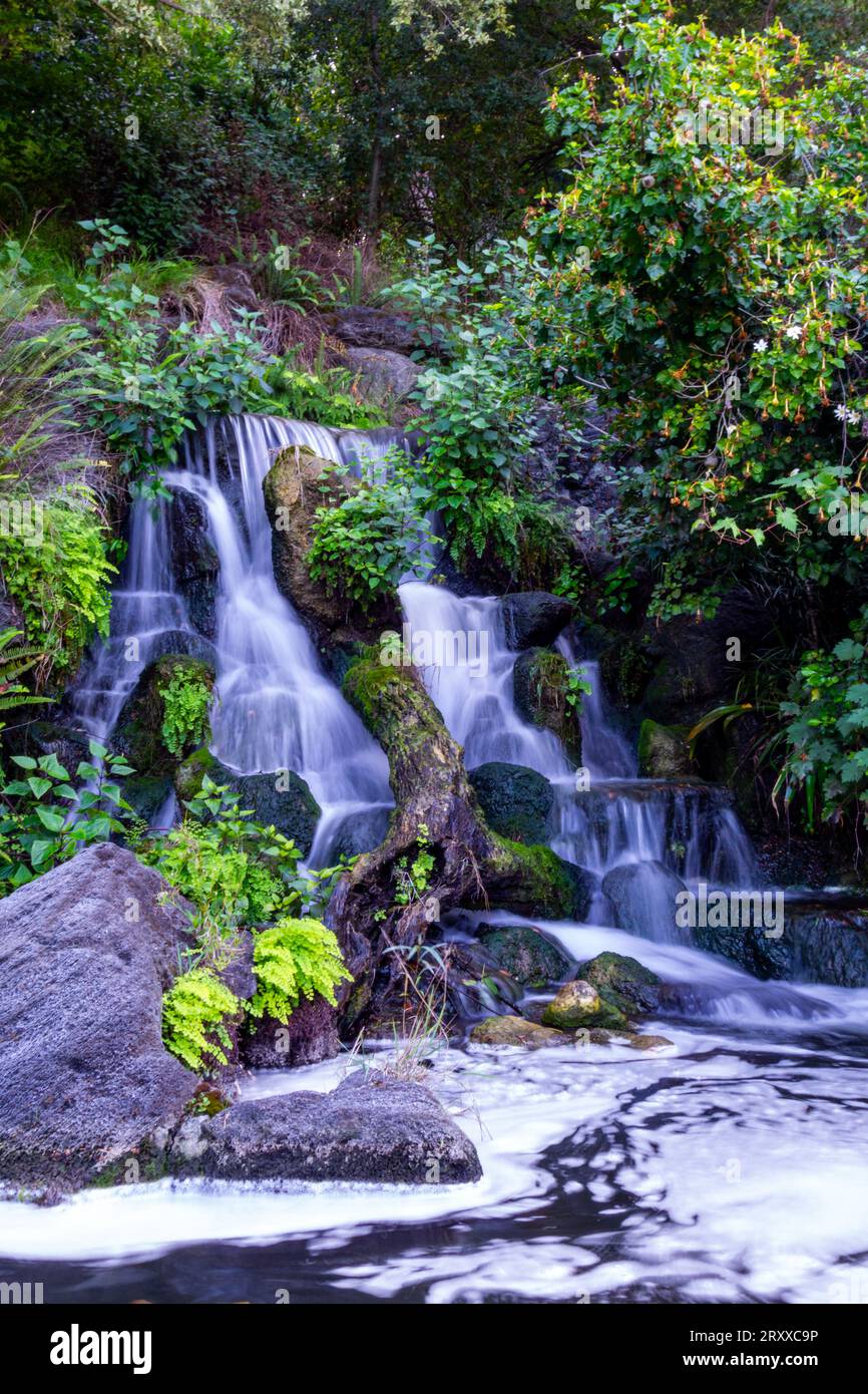 Malerischer Wasserfall in Kalifornien, umgeben von wilden Blumen und Grün. Stockfoto