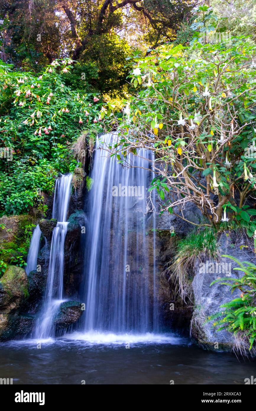 Malerischer Wasserfall in Kalifornien, umgeben von wilden Blumen und Grün. Stockfoto