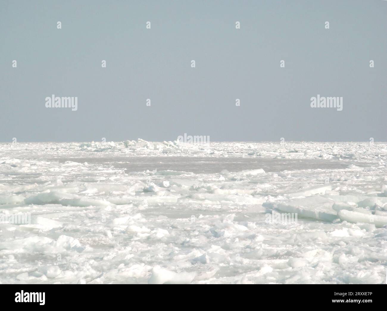 Gefrorenes Meer mit Eisschollen und Schneetreiben, gebrochenes Eis ist am Horizont sichtbar Stockfoto