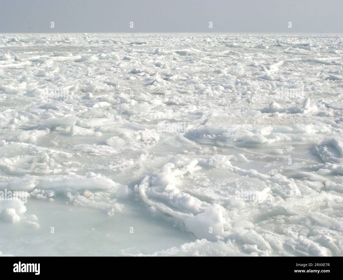 Gefrorenes Meer mit Eisschollen und Schneetreiben. Schneebedeckte Ebenen mit eisiger Weite Stockfoto