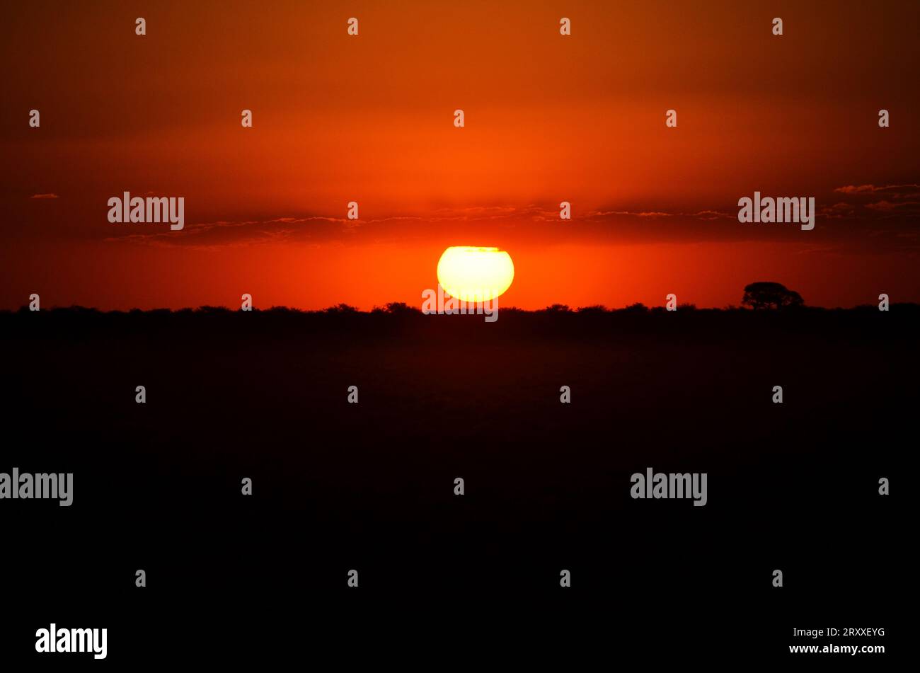 Fantastischer Sonnenuntergang in der namib-Wüste Stockfoto
