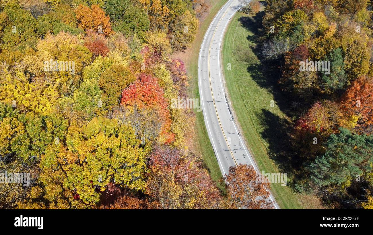 Kurvige Straße im Herbst mit wechselnden Laubfarben Stockfoto