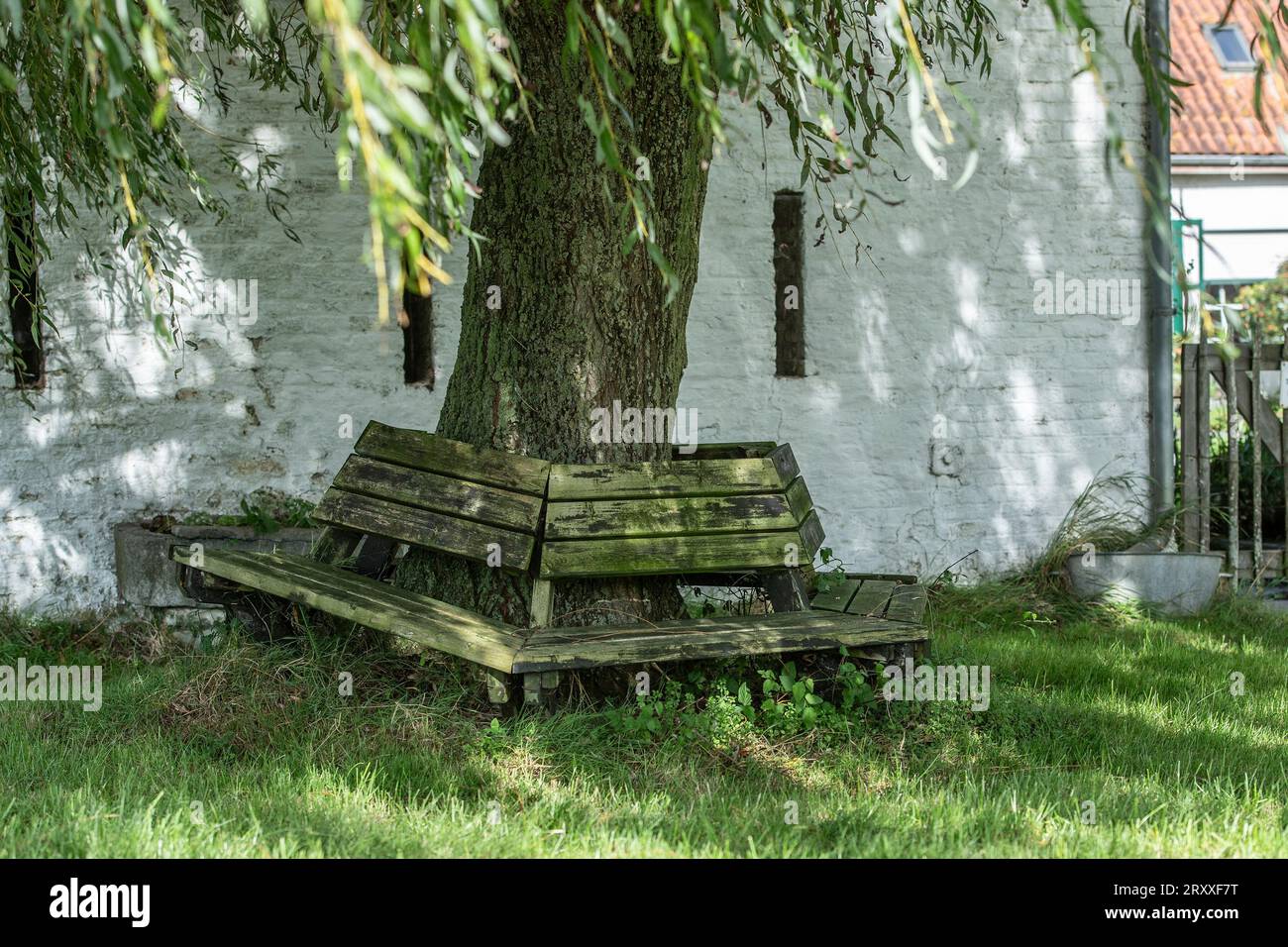 Sitzplatz in einem schattigen Garten Stockfoto