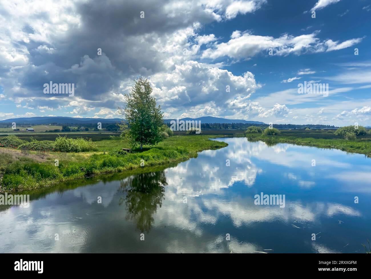 Der wunderschöne Wood River fließt durch ein üppiges Feld mit malerischen Wolken, die sich im Wasser spiegeln Stockfoto