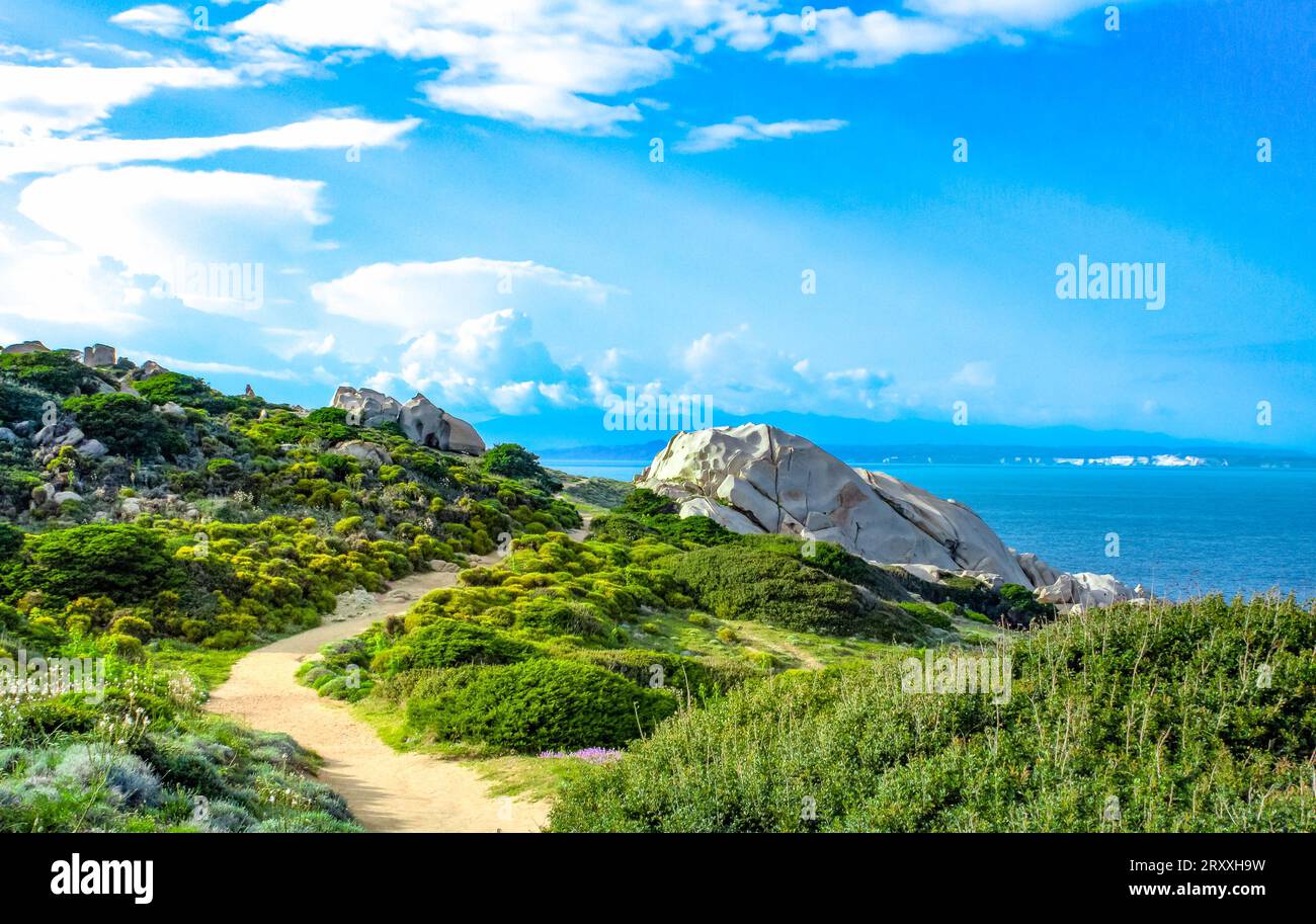 Capo Testa - Faro di Capo Testa auf Sardinien. Wunderschöne Landschaft mit Blumen Stockfoto