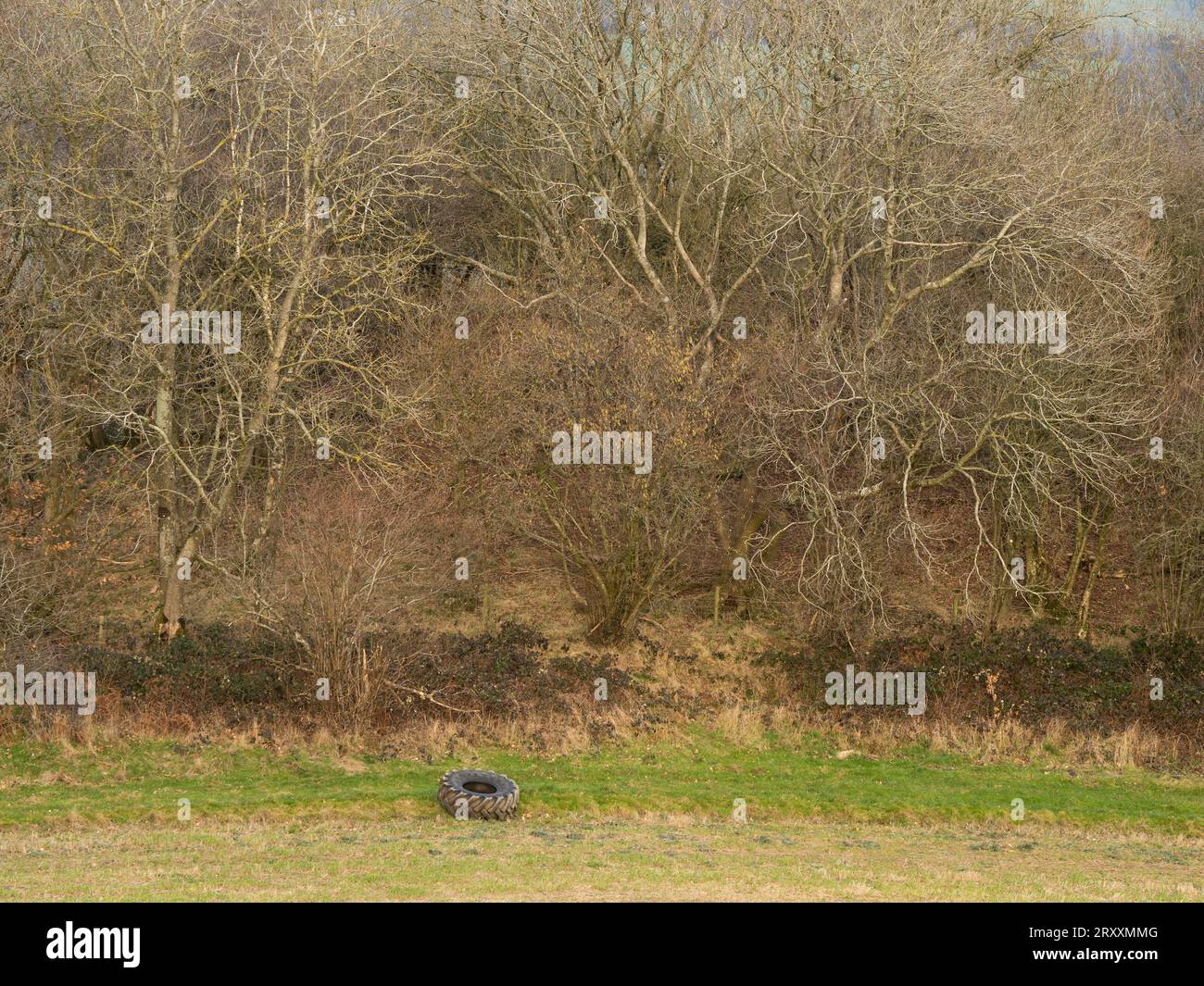Blick über South Shropshire in Richtung Ludlow von View Edge, Onibury, Shropshire, Großbritannien Stockfoto
