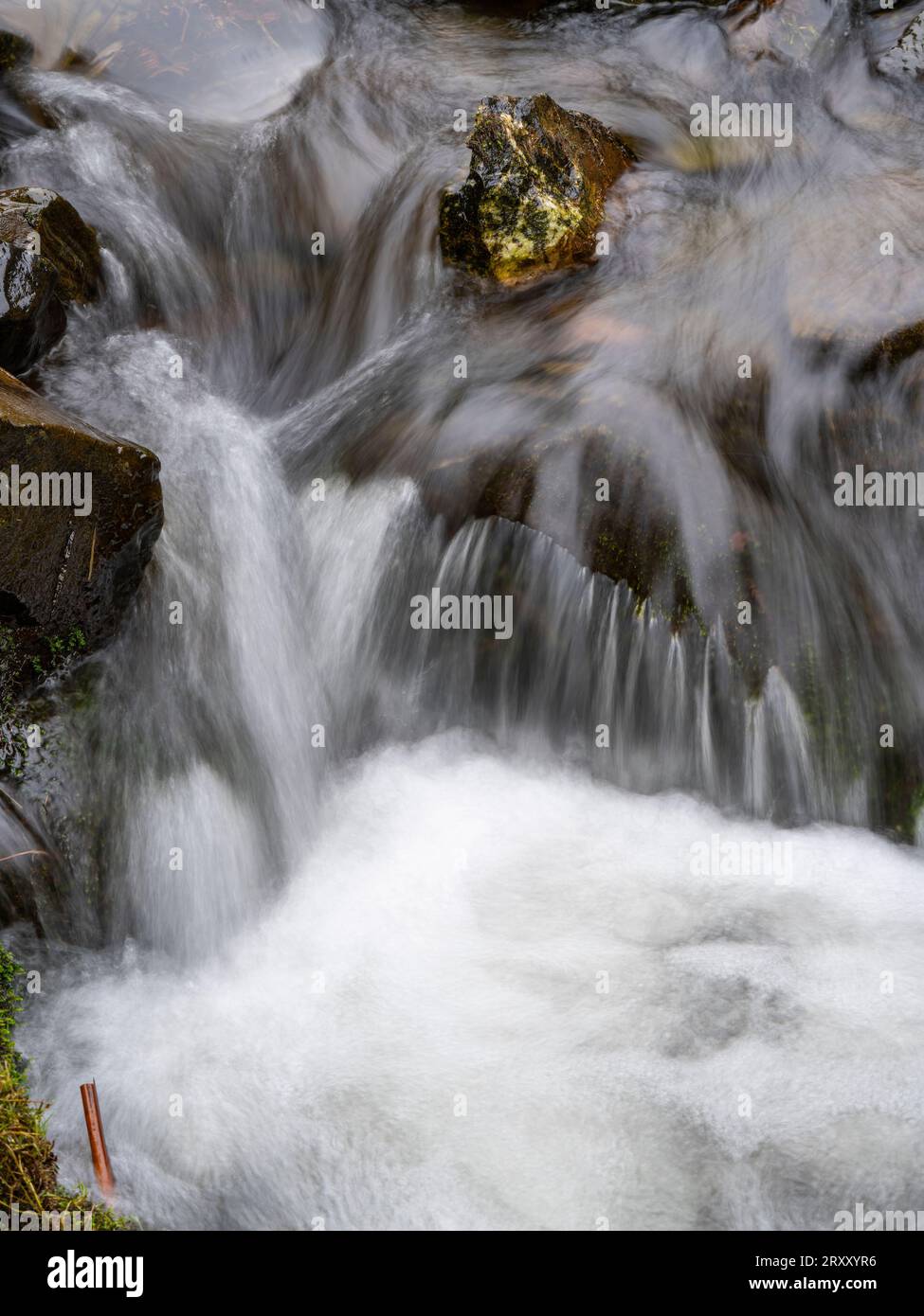 Wasserfälle und Wasserfälle in Ashes Hollow, einem Tal am Long Mynd, Shropshire, Großbritannien Stockfoto