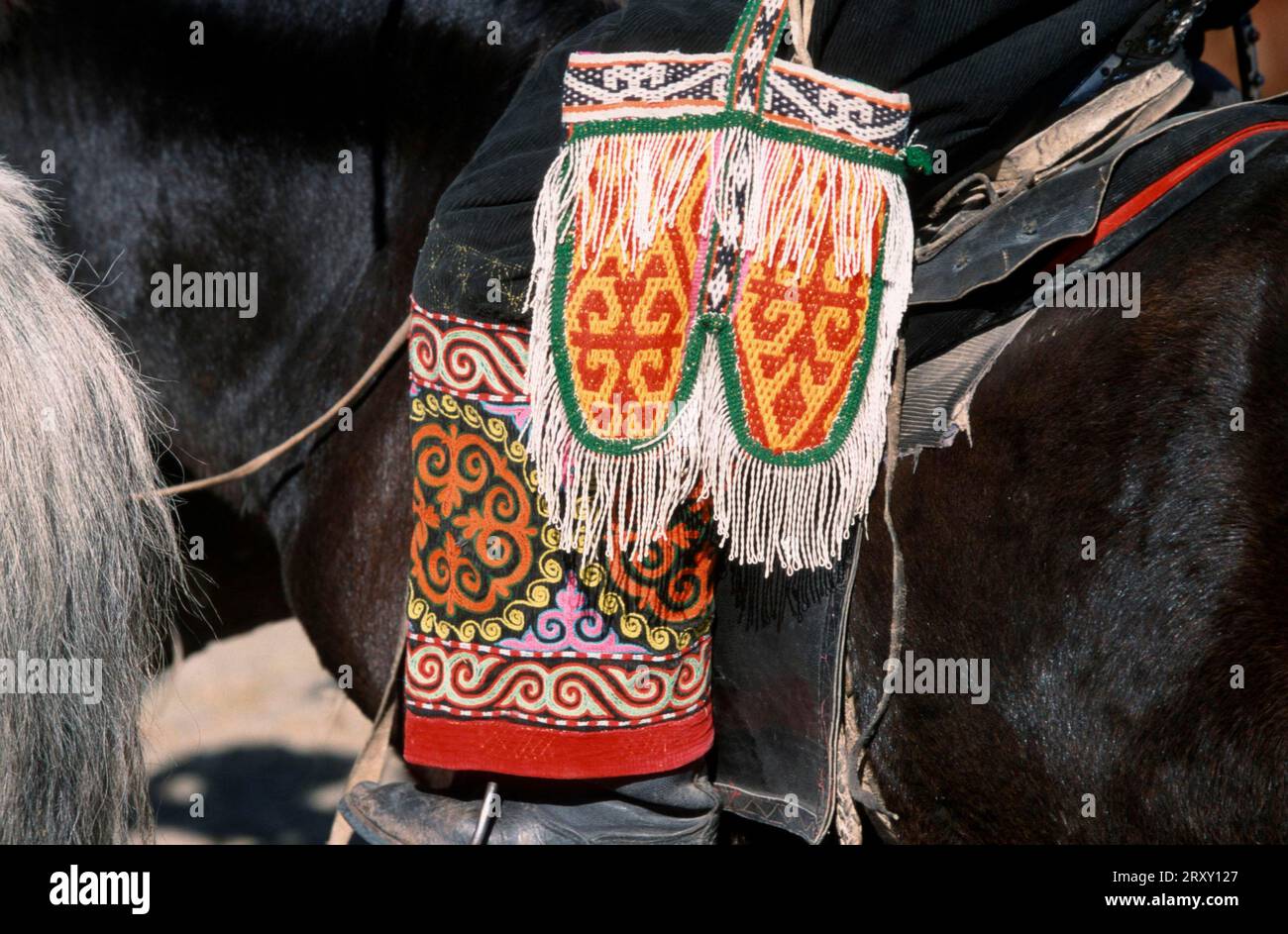 Goldenes Adlerfest, Jagdoutfit mit kazak-Motiv, Provinz Bayan-Olgiy, Mongolei Stockfoto