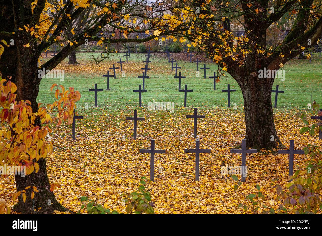 Deutscher Militärfriedhof Hautecourt, Verdun, Frankreich, mit Gräberlinien, die durch schwarze Kreuze gekennzeichnet sind Stockfoto