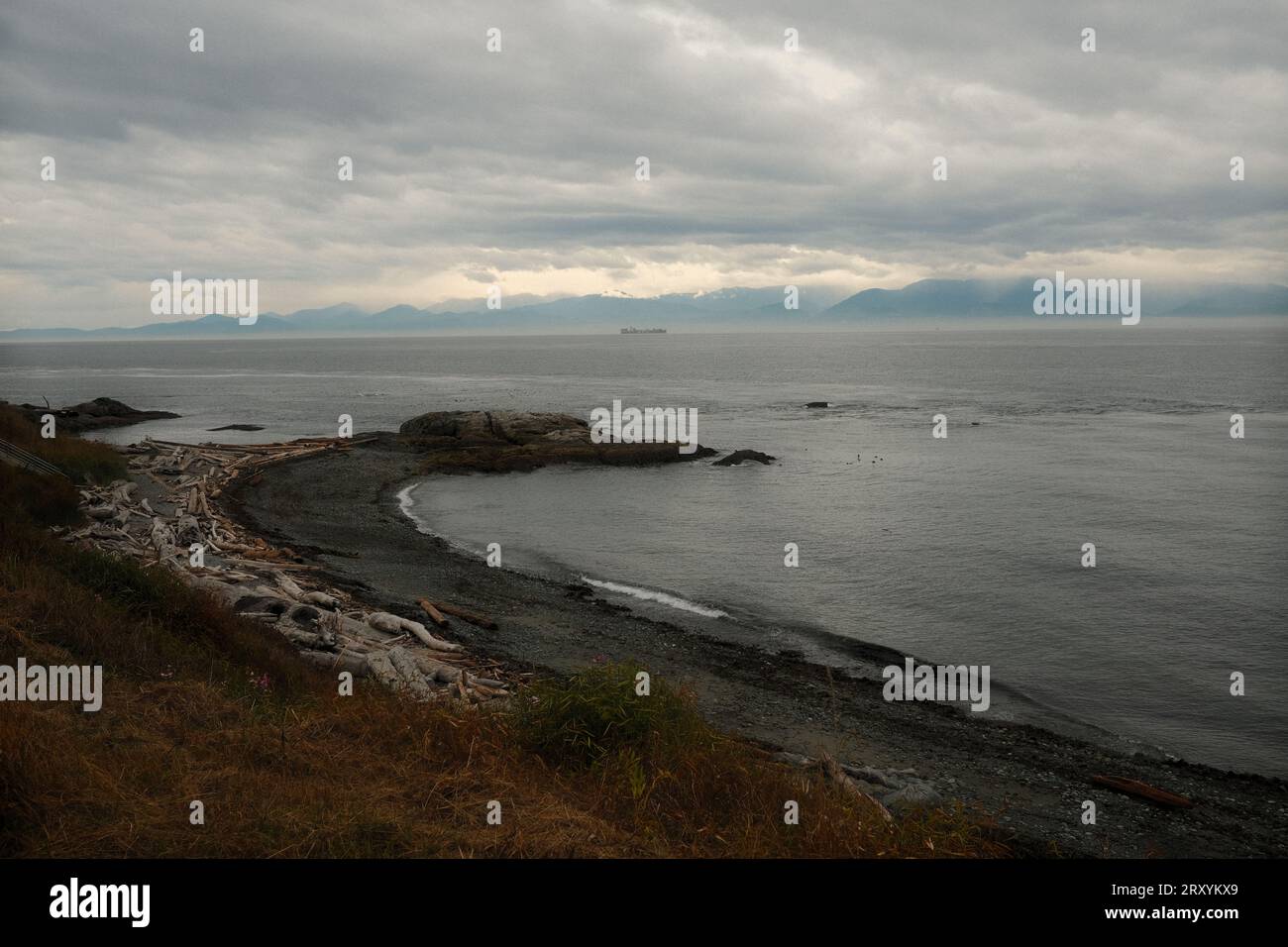 Dallas Road - Holland Point Park Stockfoto