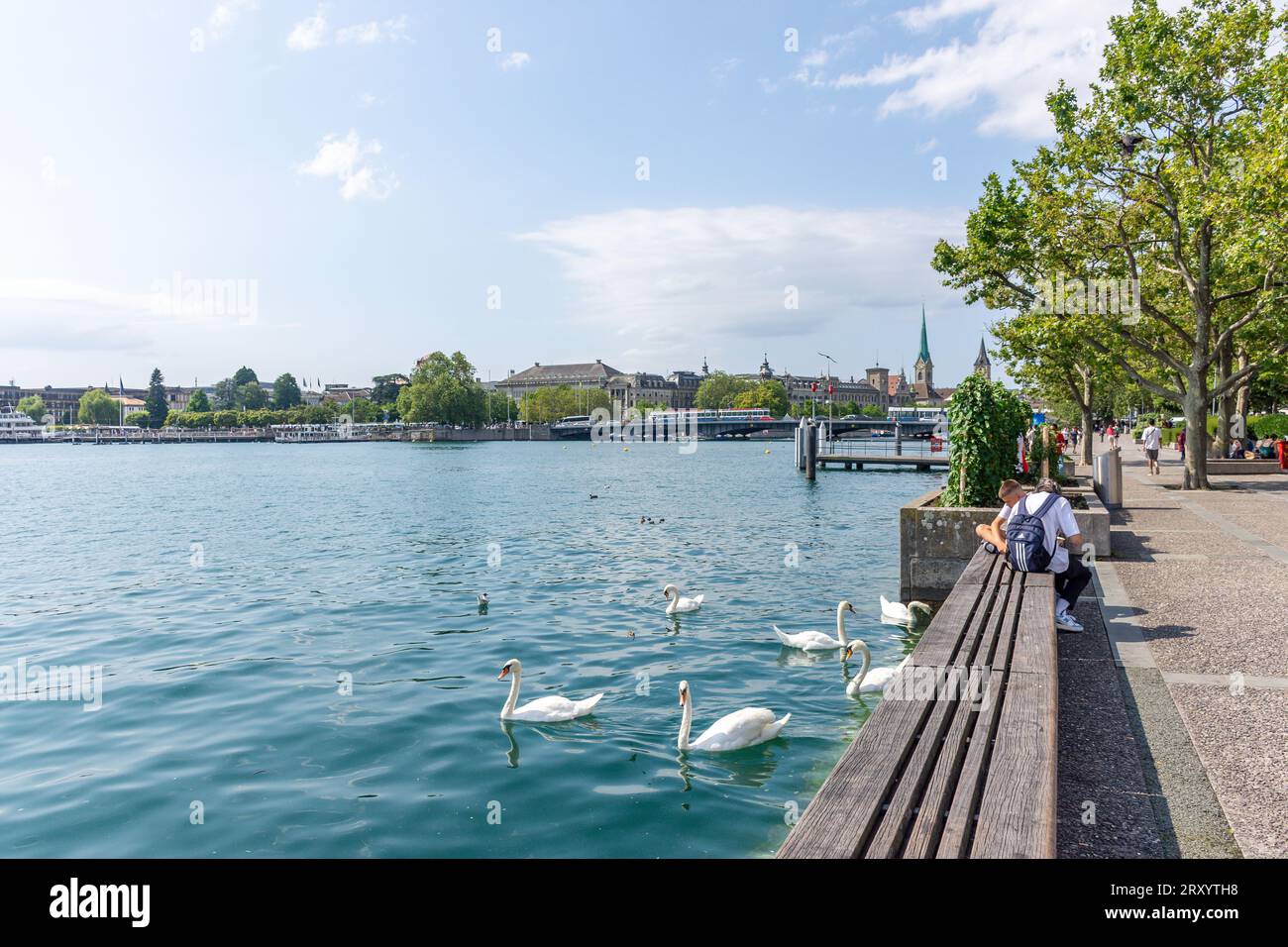 Zürichsee vom Ufer, Quaianlagen, Stadt Zürich, Zürich, Schweiz Stockfoto