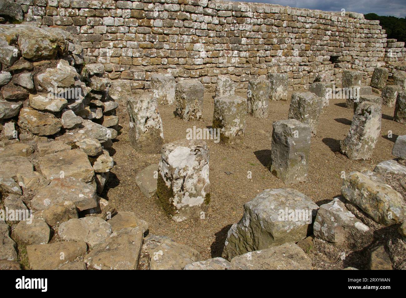 Überreste römischer Bauten am Housesteads Roman Fort (Vercovicium) an der Hadrians Wall. Hexham, England, Großbritannien. Stockfoto