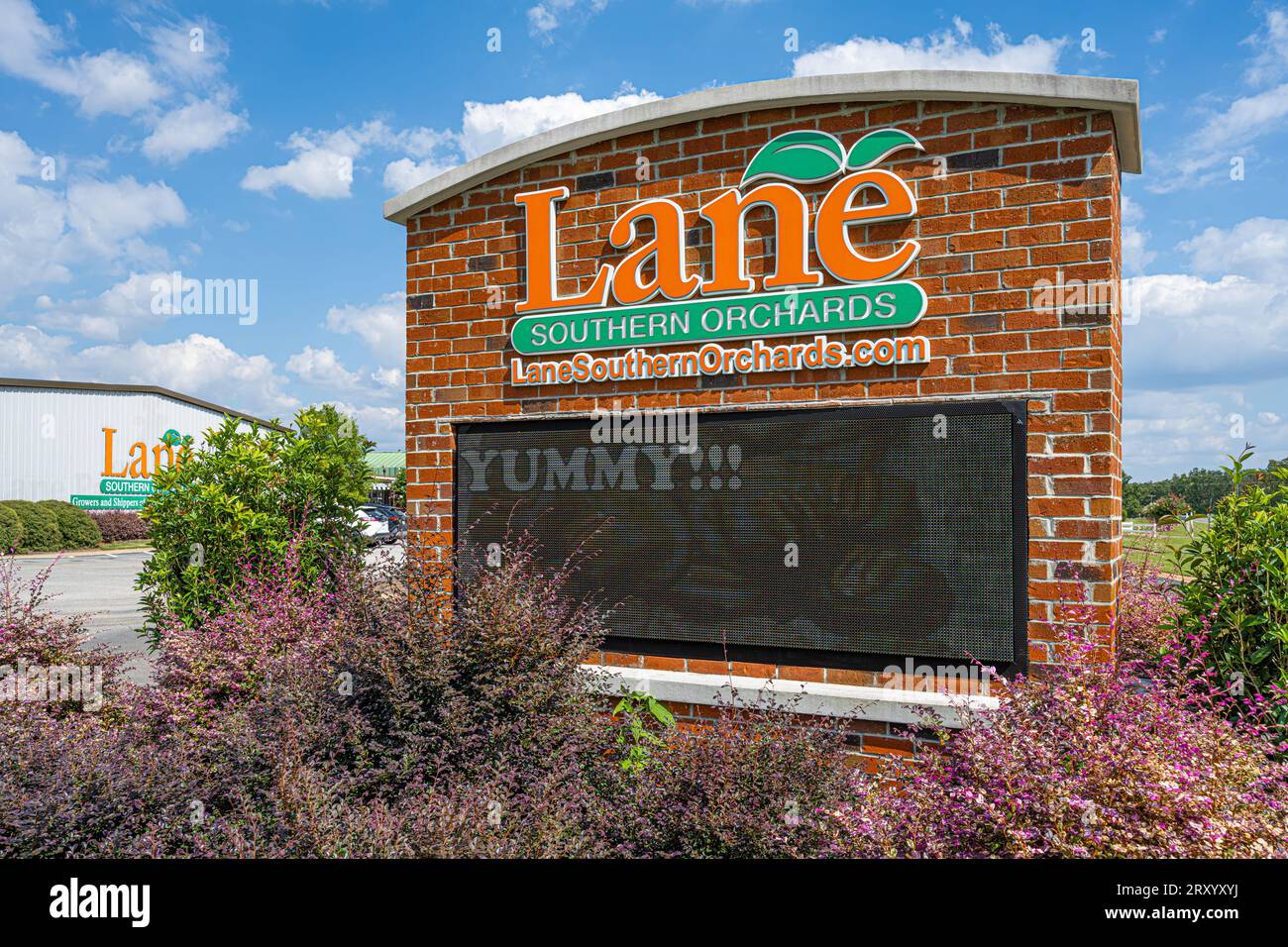 Schild vor dem Straßenmarkt und Café in Lane Southern Orchards in Peach County, Georgia. (USA) Stockfoto