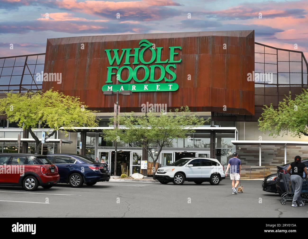 Parkplatz mit Autos und Käufern, während man Hund zum Eingang zum Catalina Foothills führt, wo sich ein Whole Foods Market in Tucson, Arizona, befindet Stockfoto