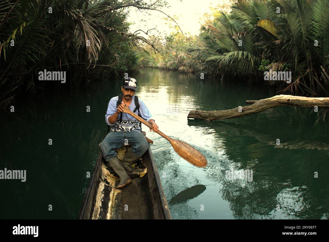 Ein Ranger rudert ein Boot, das Passagiere während eines Ausflugs auf dem Cigenter River auf Handeuleum Island befördert, einem Teil des Ujung Kulon Nationalparks in Pandeglang, Banten, Indonesien. Ein gut bewirtschafteter Nationalpark verfügt über eine kompetente und geeignete Strategie zur Verhinderung des Verlusts an biologischer Vielfalt und des Klimawandels, zur Verbesserung der lokalen Gesellschaft und zur Aufrechterhaltung der grundlegenden Funktionsweise des Ökosystems, von dem die Menschheit weltweit abhängig ist, so Wissenschaftler. Aber "große Gebiete von Nationalparks wurden unter strengen Schutz gestellt, um Biodiversität und Ökosystemintegrität zu erhalten... Stockfoto