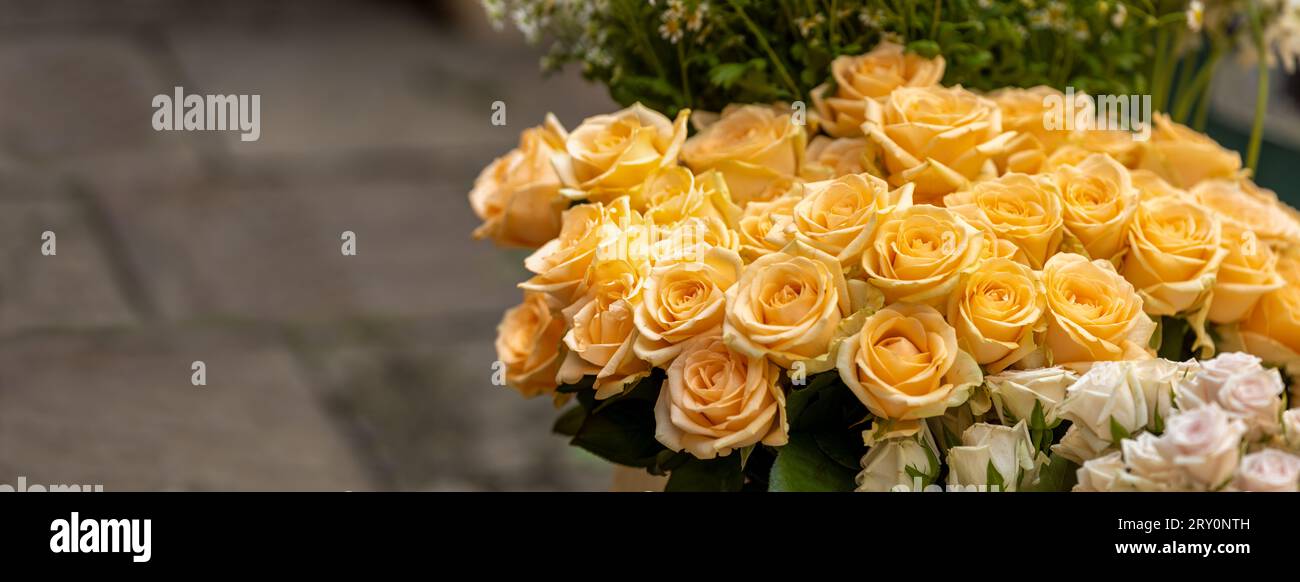 Banner oder orangene Rosen Blumenstrauß Nahaufnahme, Kopierraum Stockfoto