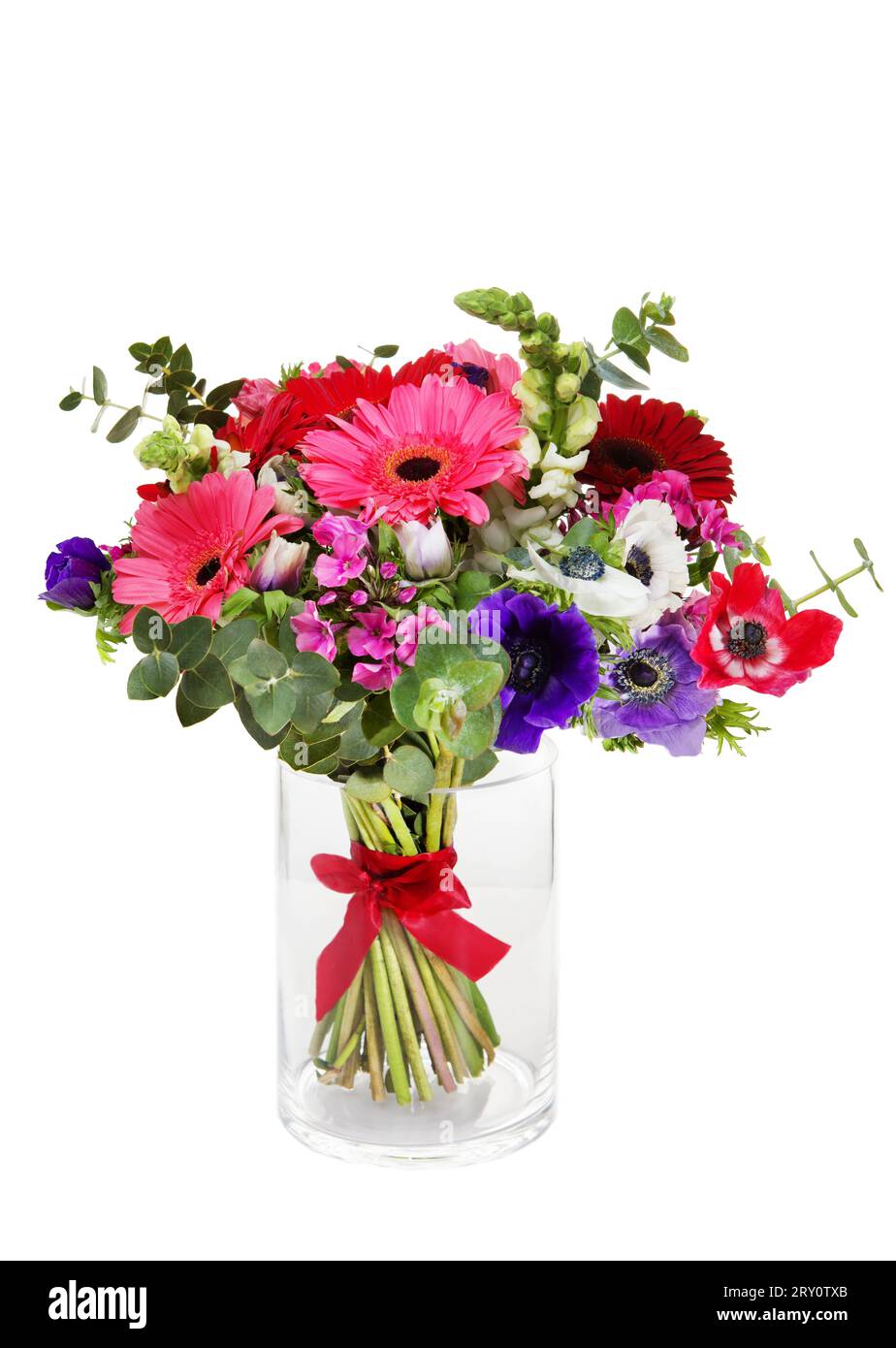 Wunderschöner riesiger Blumenstrauß aus roten und rosafarbenen Gerberas in Vase auf weißem Hintergrund. Stockfoto