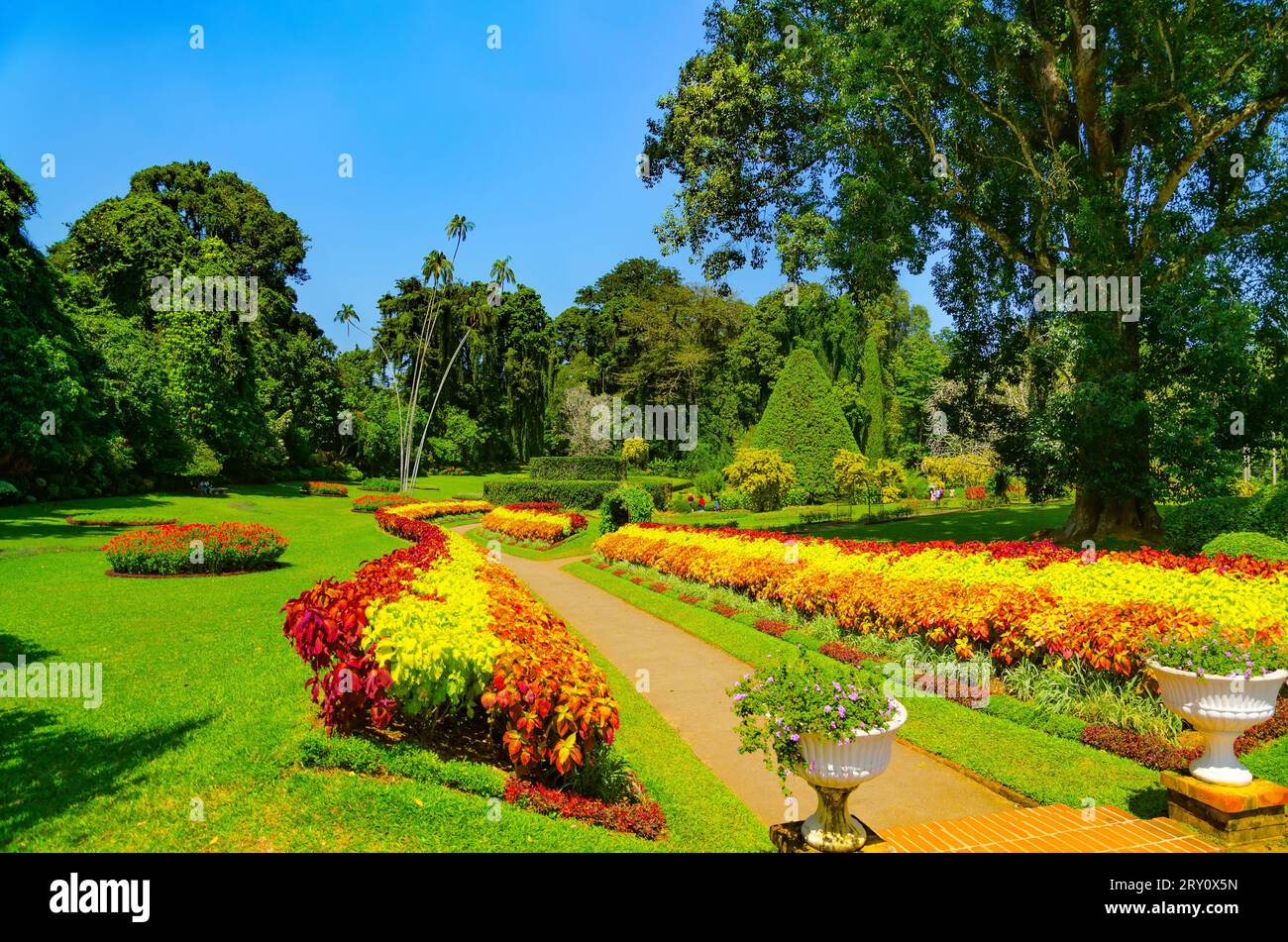 Der Fußweg im Park. Königlicher Botanischer Garten (Ceylon) Stockfoto
