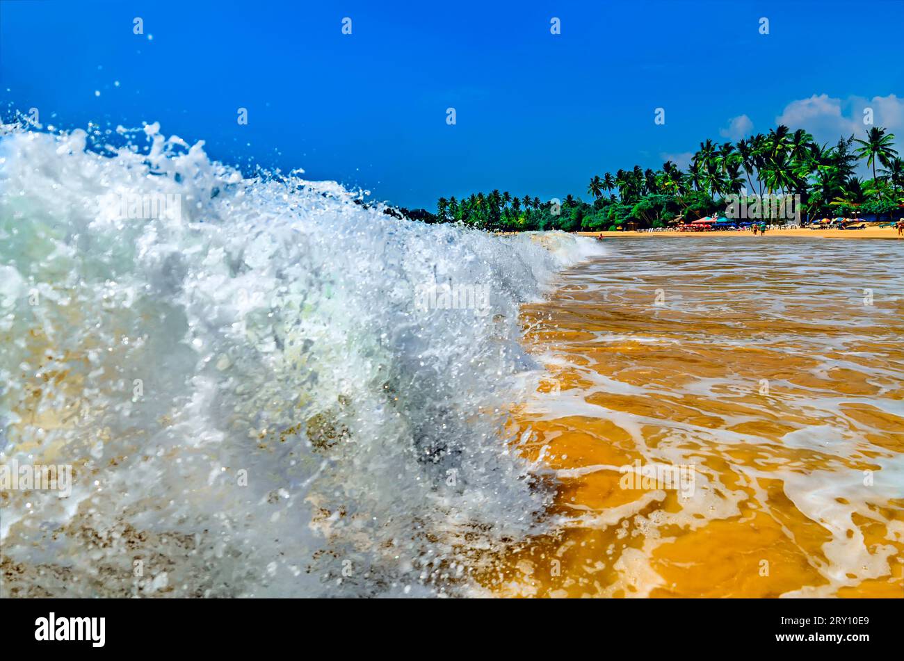 Riesige Meereswellen am Strand von Mirissa in Sri Lanka (Insel Ceylon) Stockfoto