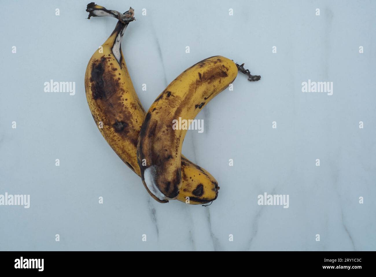 Schwarze verfaulte Bananen, verfaulte Bananen auf weißem Hintergrund. Ungesundes Konzept. Stockfoto