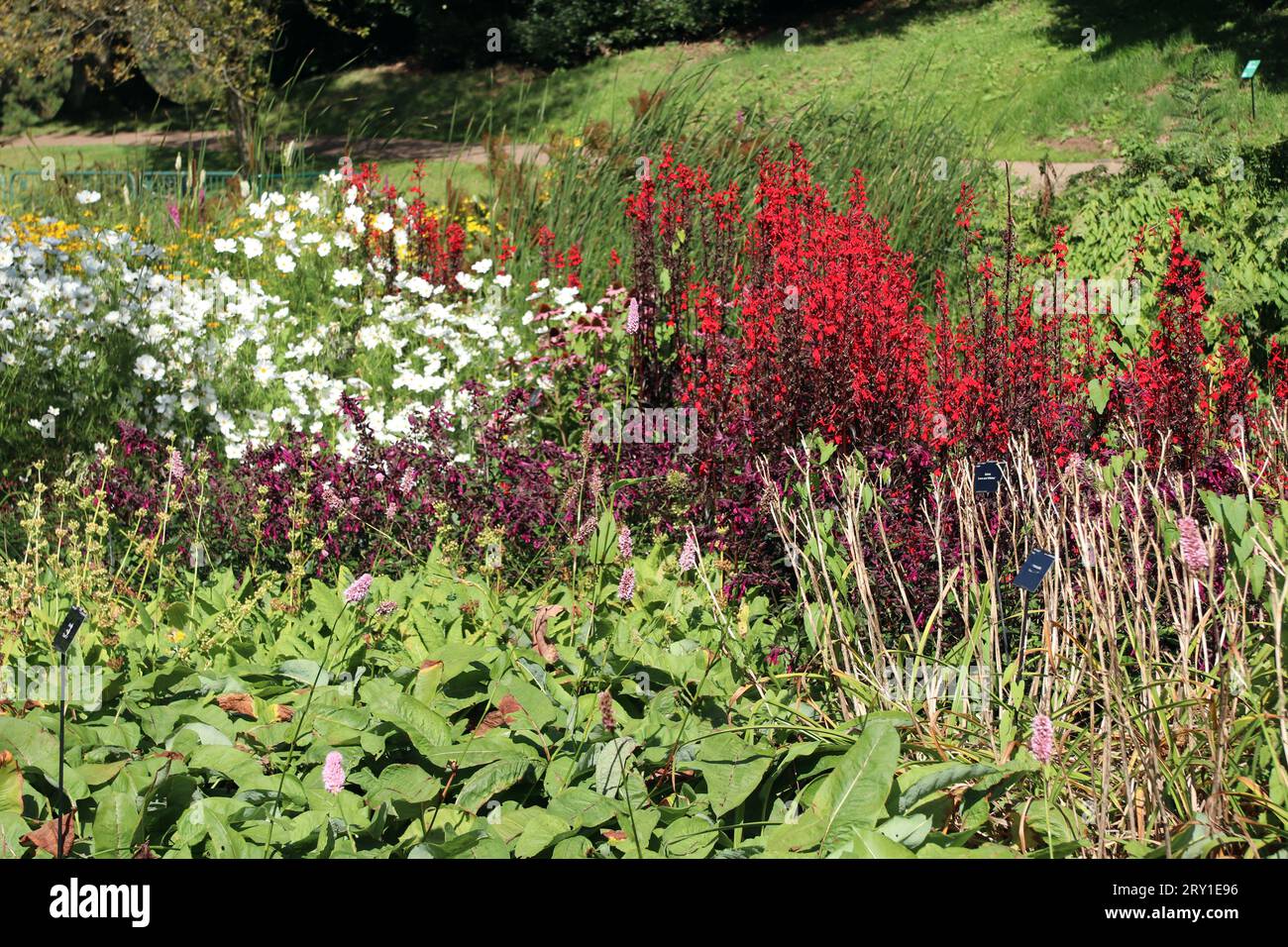 Blumen vor einer Kapelle in Cornwall Stockfoto