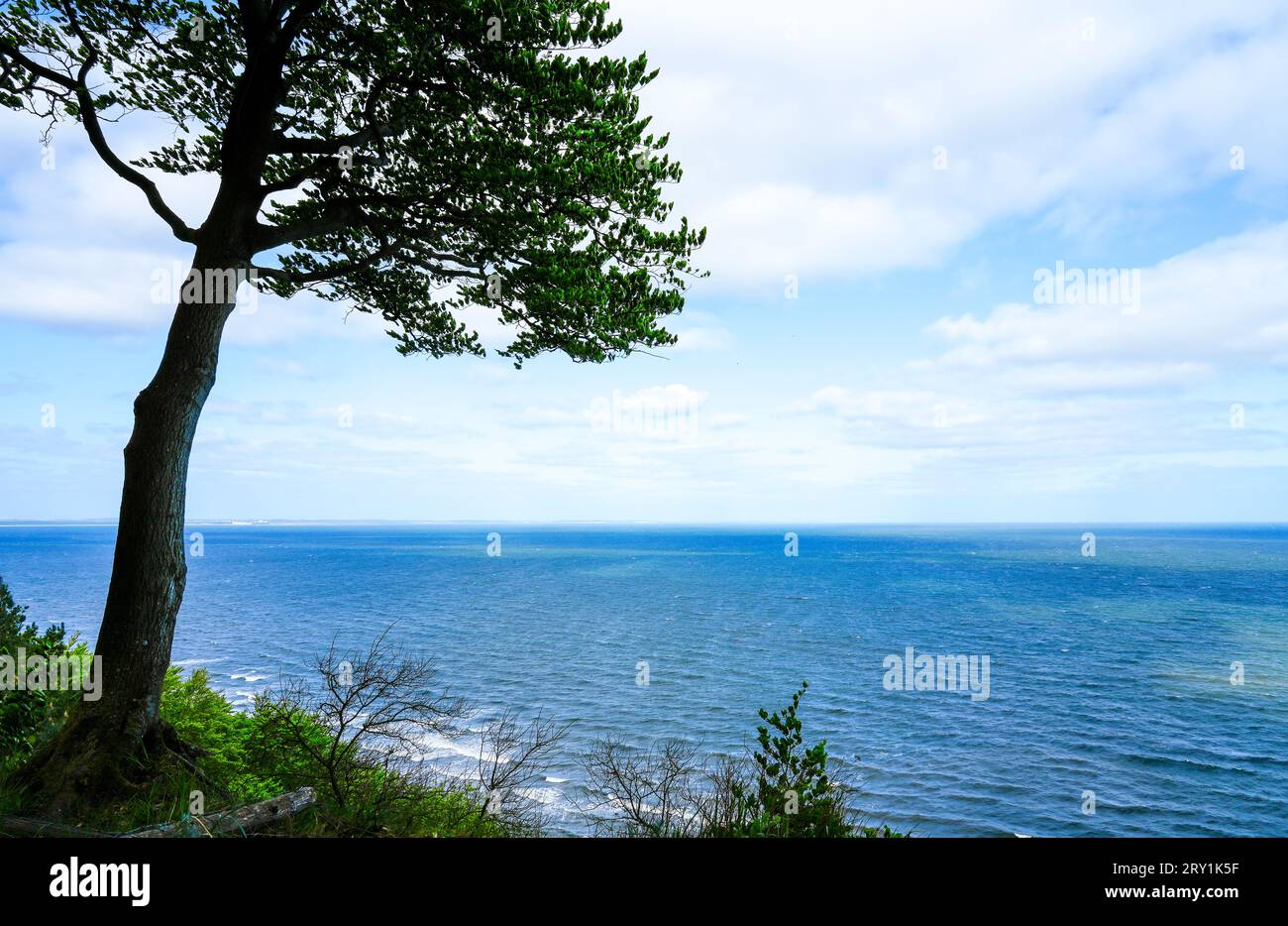 ViewPoint Gosan in Polen. Grüne Natur mit Blick auf die Ostsee. Stockfoto