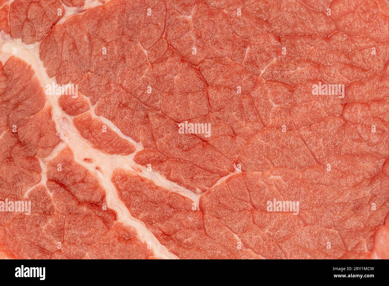 Fleischstruktur. Close-up-Rindfleisch und Fettgewebe Stockfoto