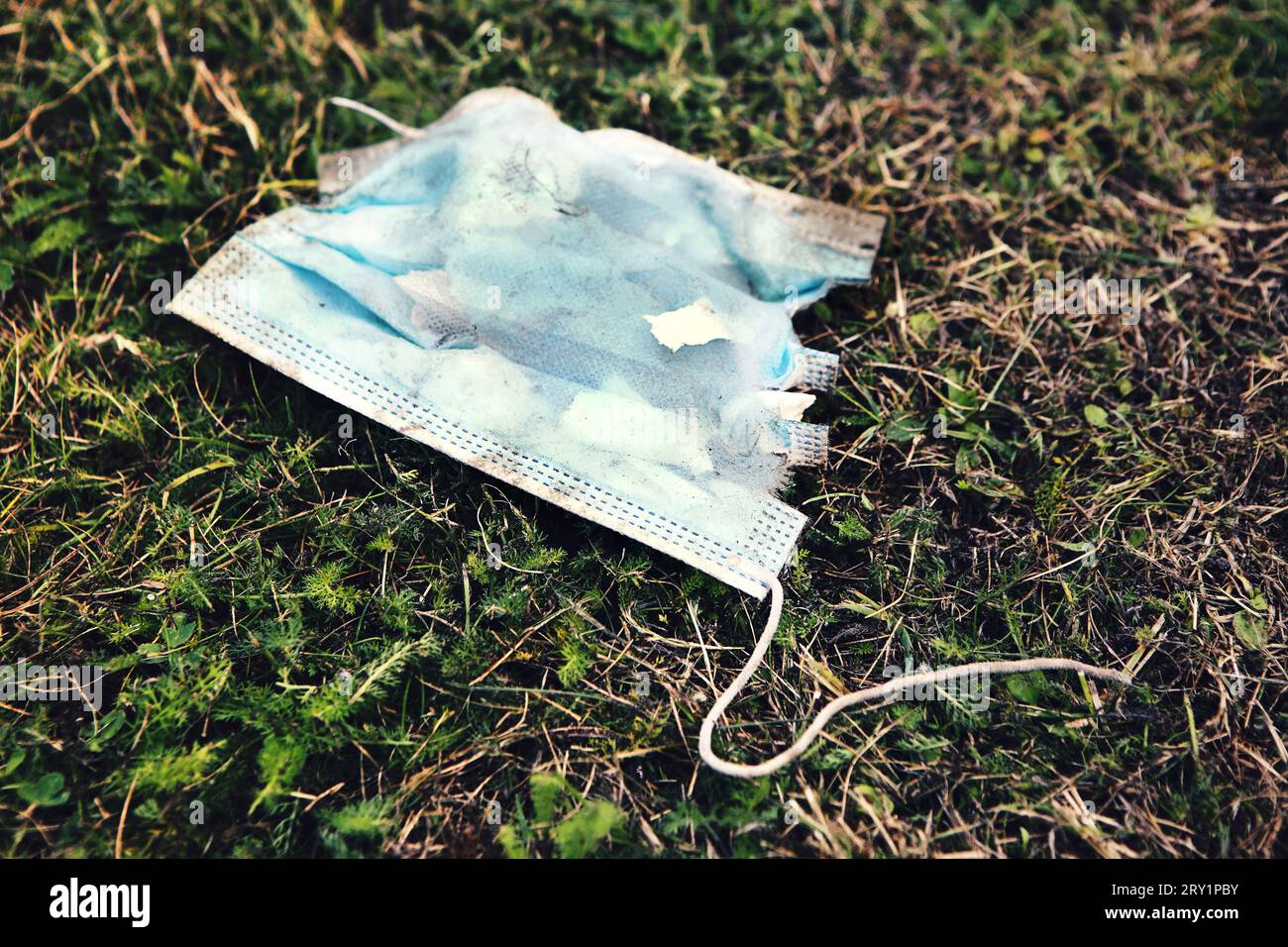 Verfaulende Maske in der Natur Stockfoto Verfaulende Maske in der Natur Stockfoto