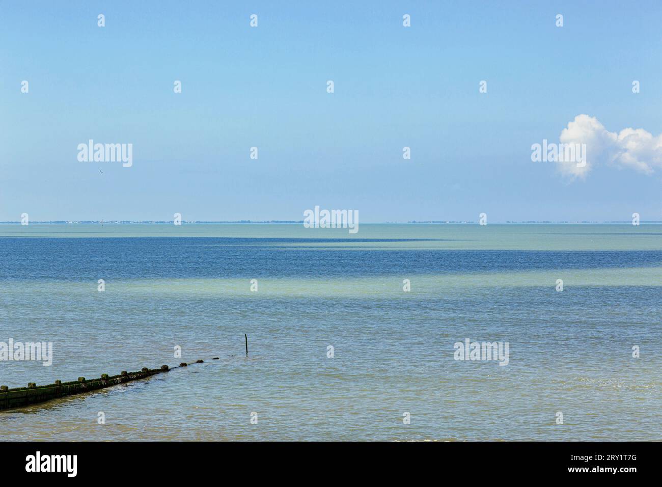 Frankreich, Les Moutiers-en-Retz, Bourgneuf-Bucht, 44, Flachmeer, Onshore-Wind, Morgen, Sommer. Stockfoto