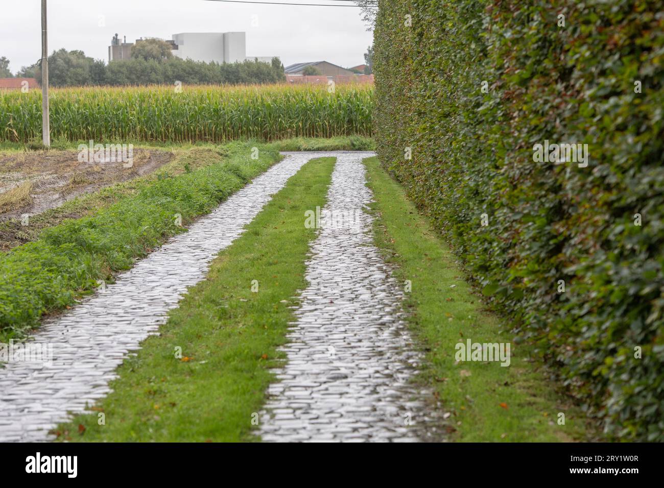 Kopfsteinpflastereinfahrt zu einem belgischen Bauernhof Stockfoto