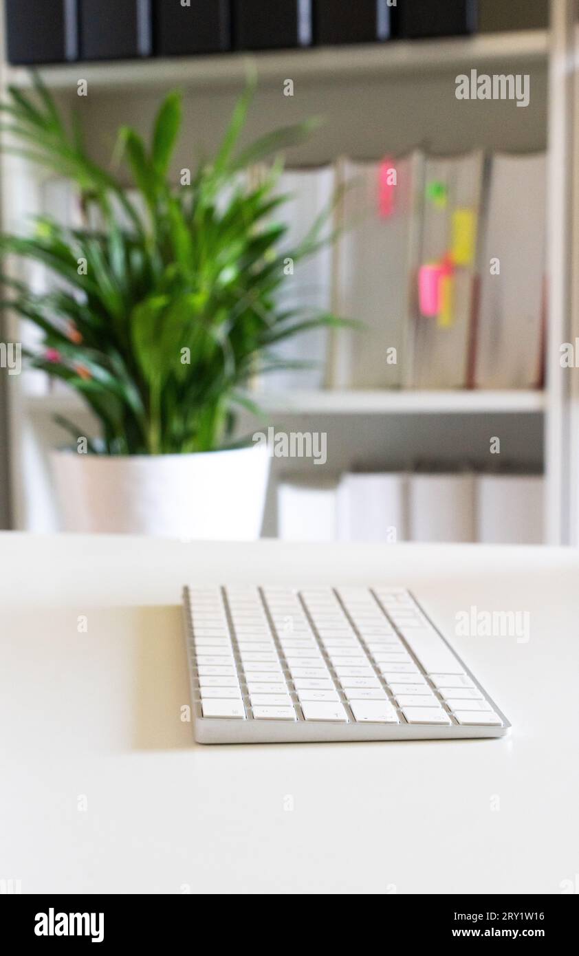 Home Office: Komfortabler Remote-Arbeitsbereich, angenehmer Schreibtisch für die Arbeit, Büro mit Pflanzen, Tastatur auf weißem Schreibtisch, Clean Desk Policy. Online-Shopping, Stockfoto