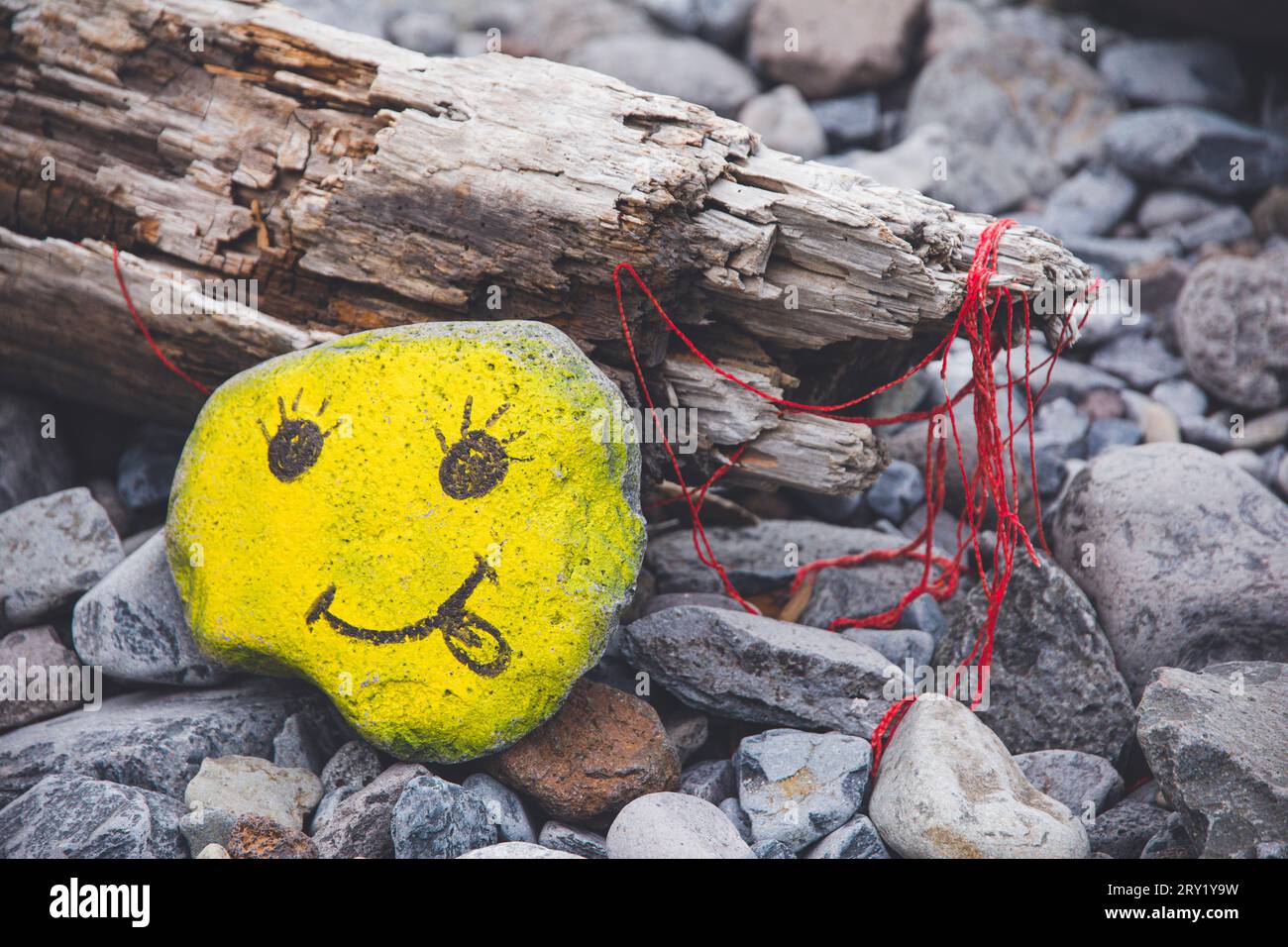 Stillleben zum Thema des Positiven Stockfoto