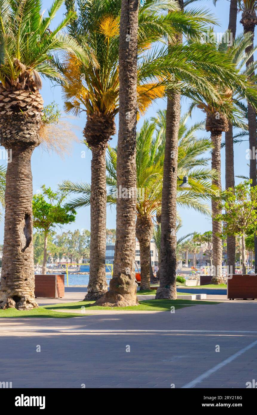SANTIAGO DE LA RIBERA, SPANIEN - 10. JUNI 2022 wunderschöne Promenade in der Küstenstadt Santiago de la Ribera in der Provinz Murcia Stockfoto