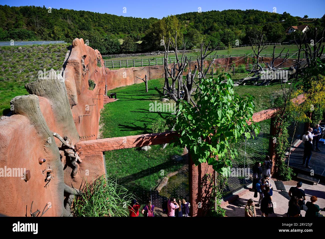 Der neue Gorillapavillon im Dja-Reservat, wo am 28. September 2023 anlässlich der Feierlichkeiten zum 92. Jahrestag der Eröffnung des Prager Zoos stattfand, ist der Prager Zoo. (CTK Photo/Roman Vondrous) Stockfoto