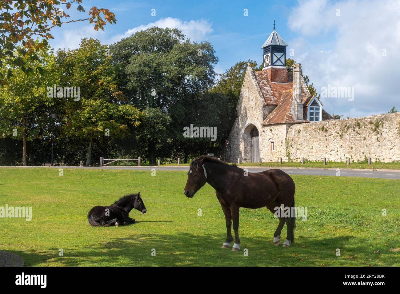 New Forest Ponys auf dem grünen Dorf vor Beaulieu Abbey Outer Gatehouse, Beaulieu, Hampshire, England, Vereinigtes Königreich Stockfoto