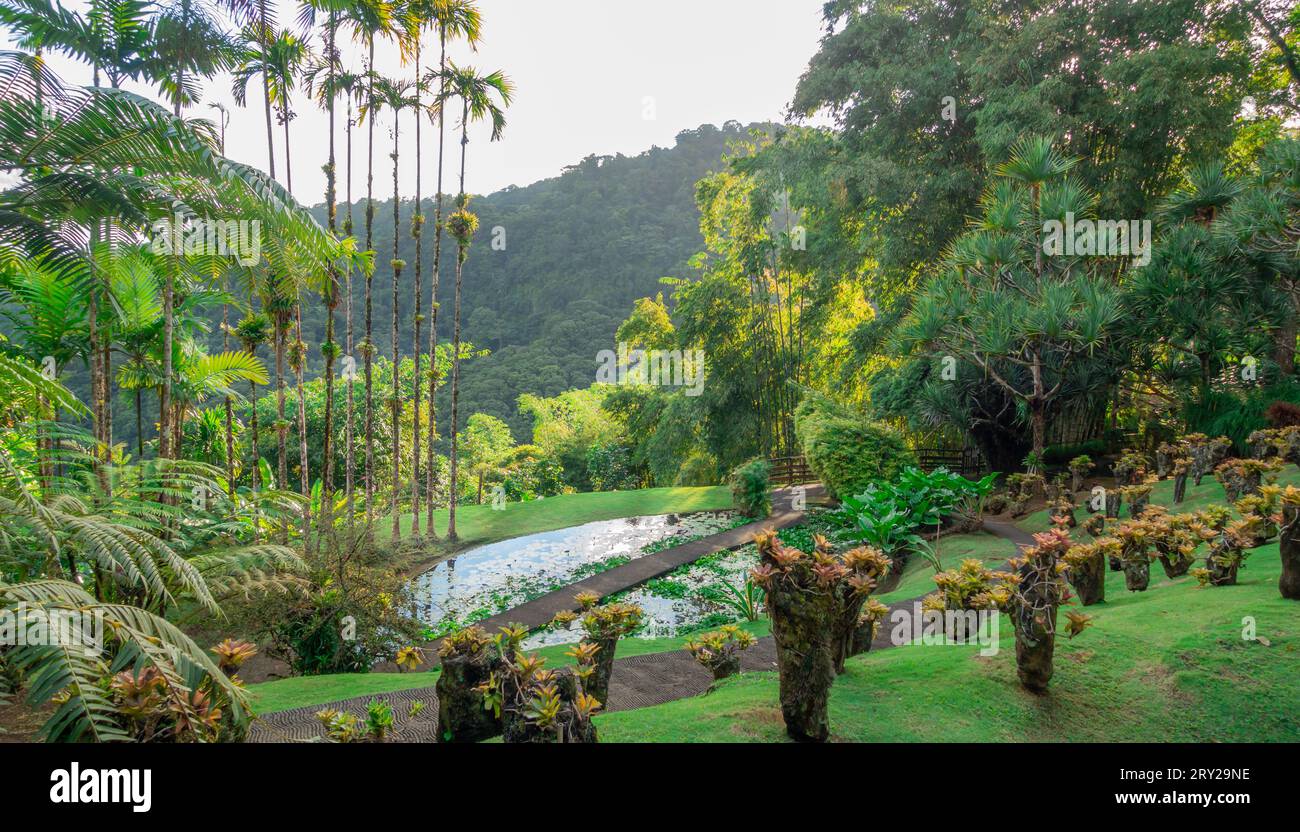 Jardins de la Balata in Fort-de-France, Martinique. Exotische Gärten der französischen Westindien. Stockfoto