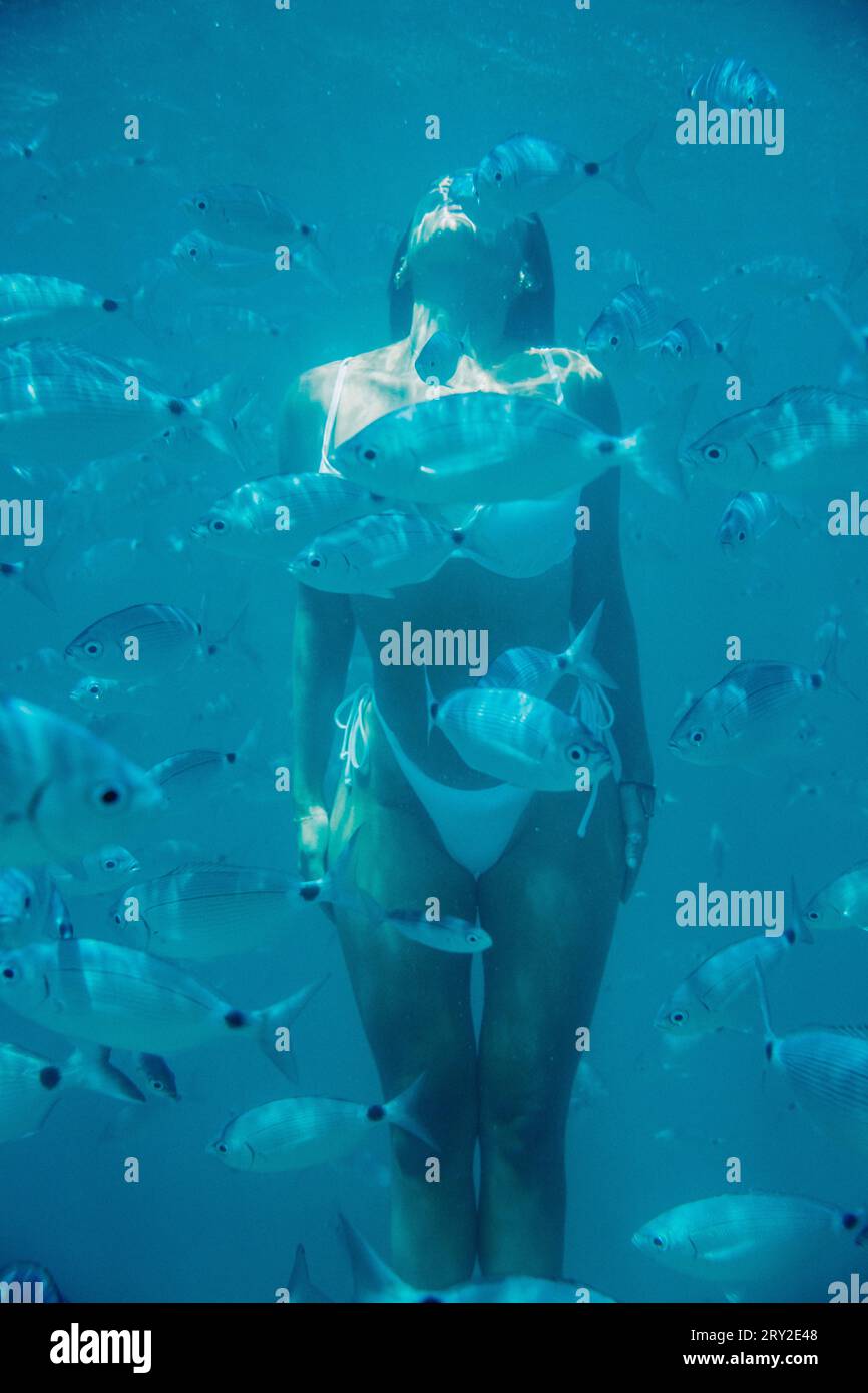 Frau taucht frei im sauberen blauen Meer und beobachtet exotische Fische in Riffen Stockfoto