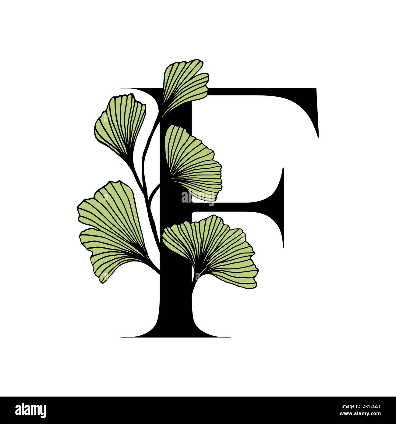 Ginkgo biloba Blätter Alphabet. Abzeichen und Ikone im trendigen, linearen, handgezeichneten Stil. Vector Logo Emblem Brief und Ginkgo Zweig. Abbildung für Cosmet Stock Vektor