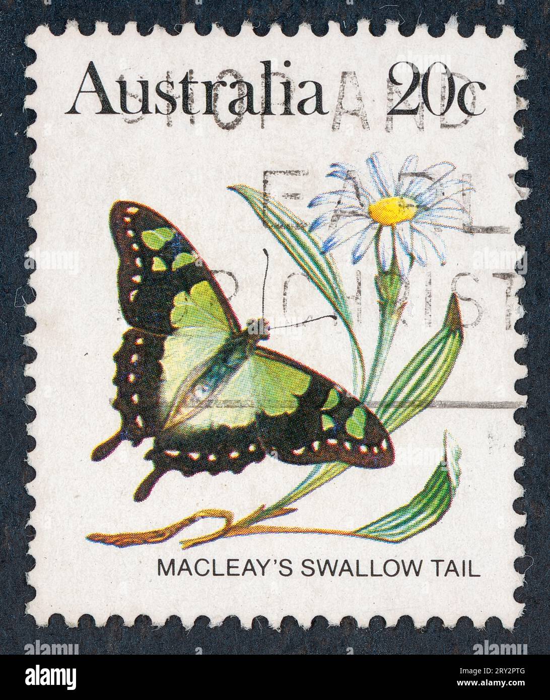 Macleay's Swallowtail (Graphium macleayanus). Australische Schmetterlingsserie. Briefmarke, ausgestellt 1983 in Australien. Stockfoto