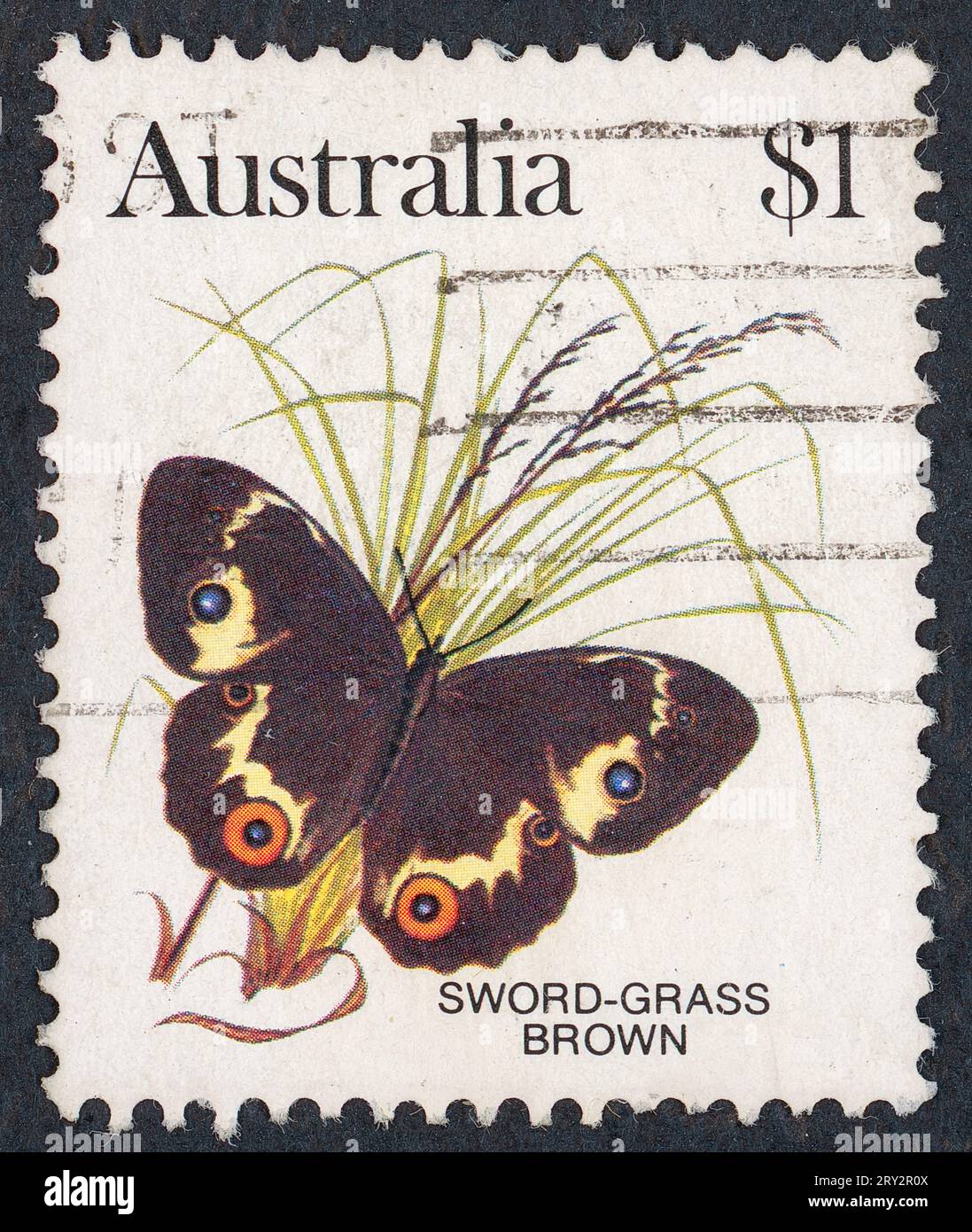 Schwertgras braun (Tisiphone abeona). Australische Schmetterlingsserie. Briefmarke, ausgestellt 1983 in Australien. Stockfoto