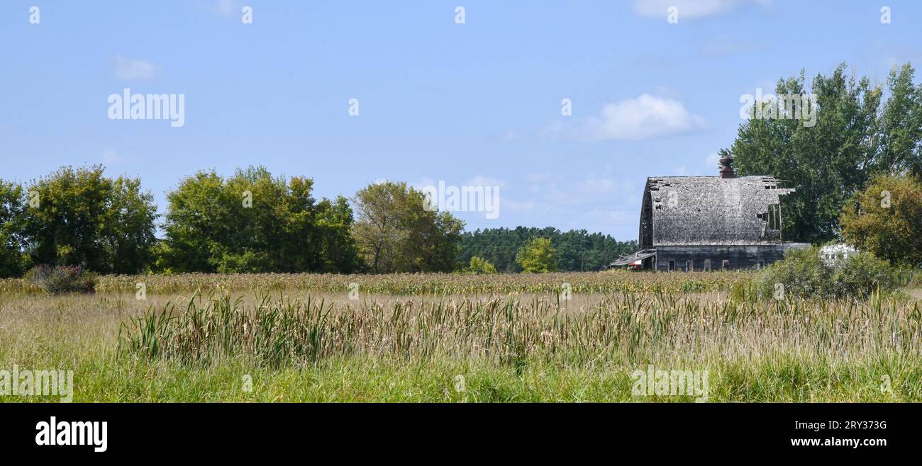 Alte verwitterte Holzscheune auf dem Bauernhof im Sommer Stockfoto