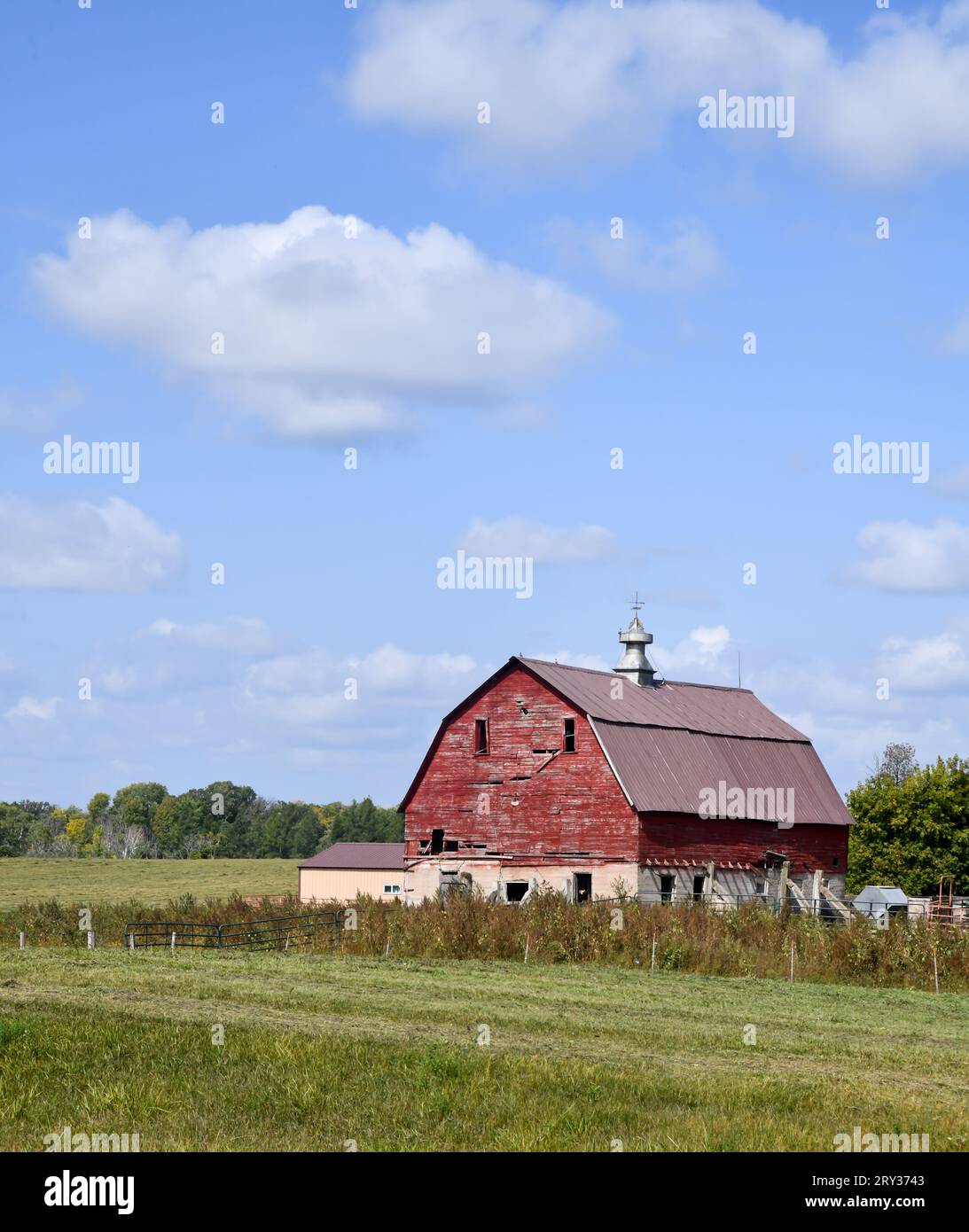 Alte verwitterte Holzscheune auf dem Bauernhof im Sommer Stockfoto