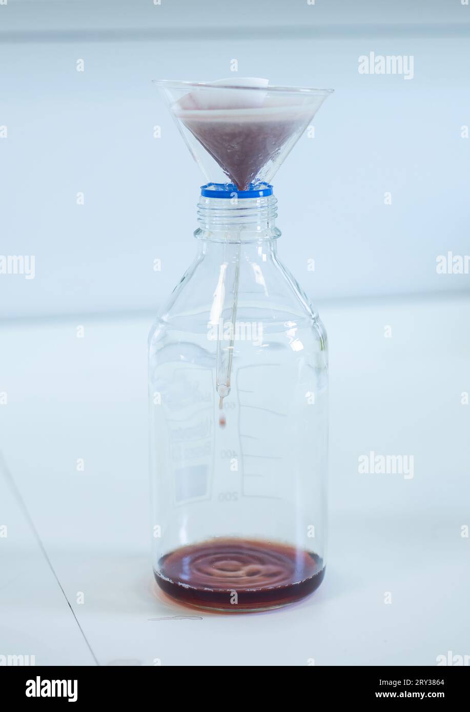 Verwendung von Laborfilterpapier im Bioengineering-, Biologie- und Chemielabor Stockfoto