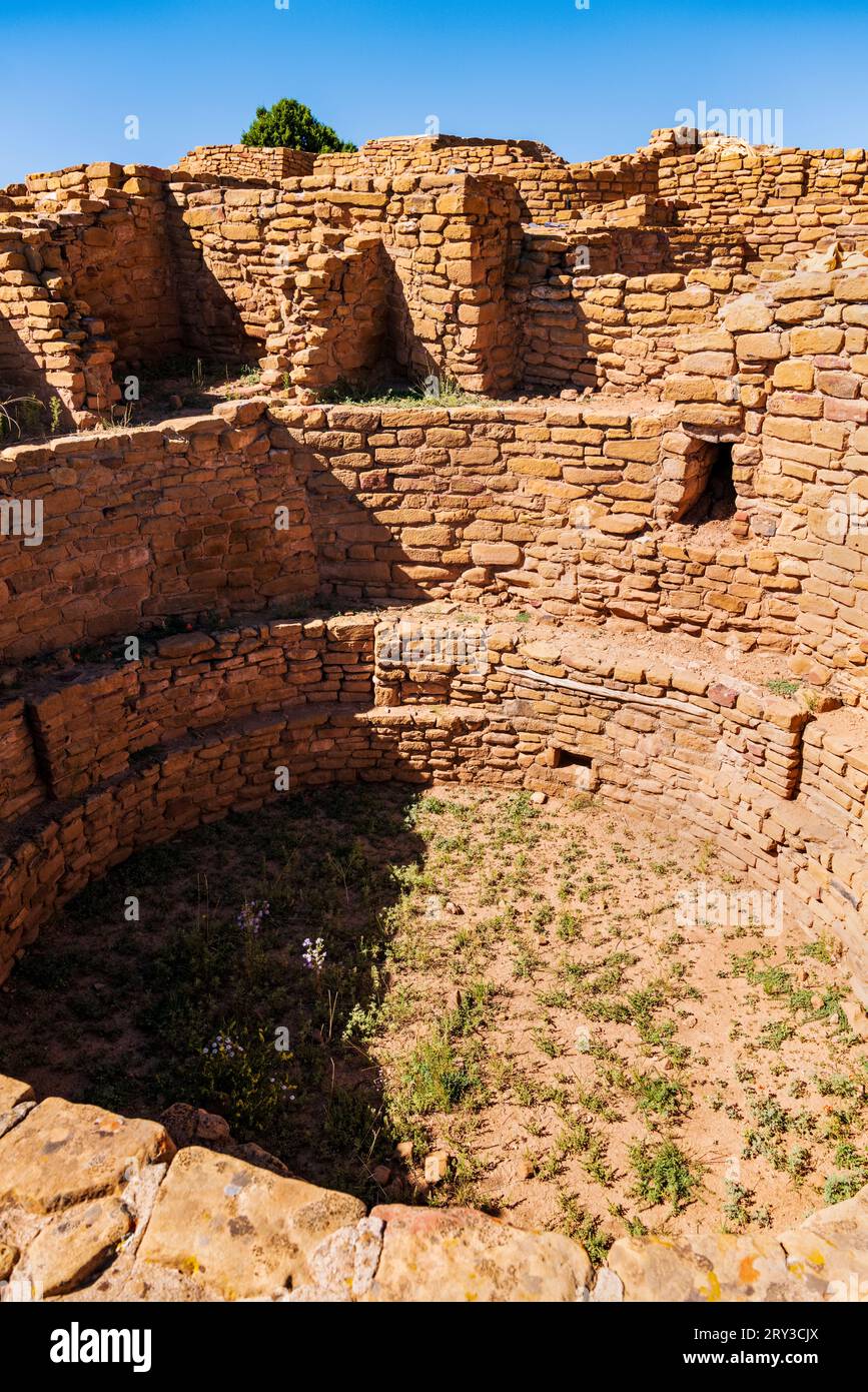 Round Kiva; Zeremonialraum; Pipe Shrine House; Far View Site; Mesa Verde National Park; Colorado; USA Stockfoto