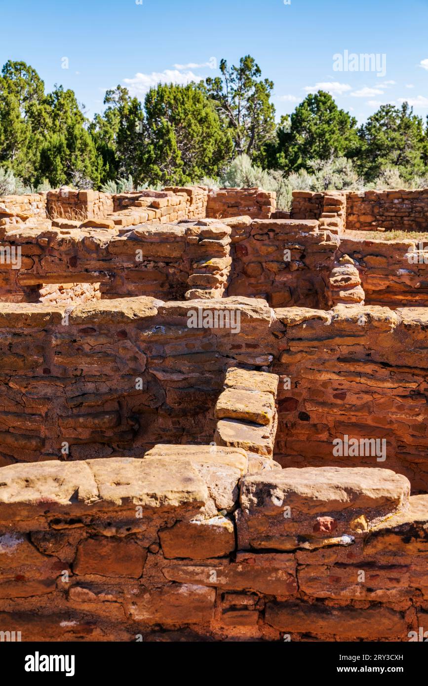Pipe Shrine House; Far View Site; Mesa Verde National Park; Colorado; USA Stockfoto