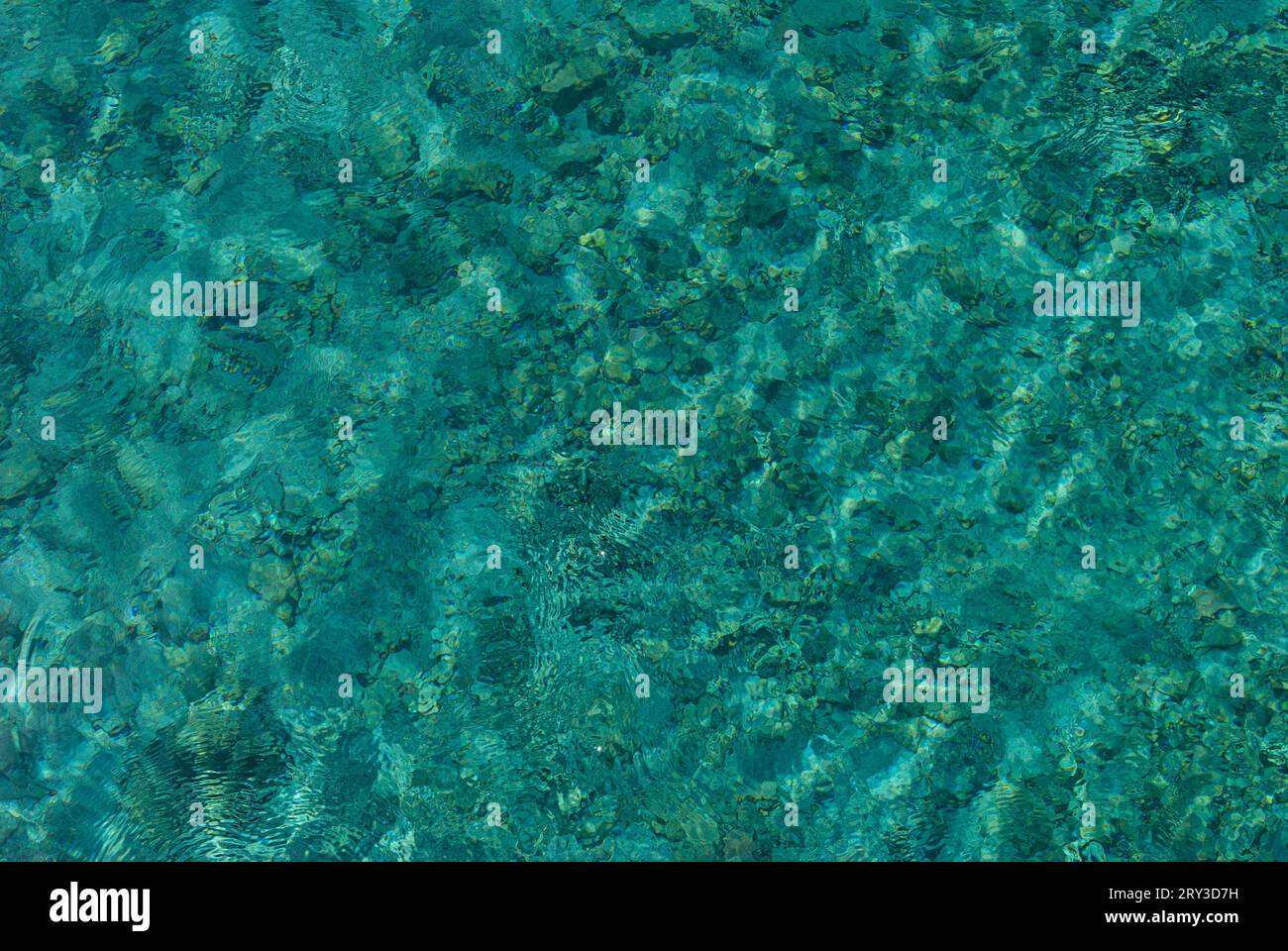 Steine unter Meer, Meereslandschaft, türkisfarbener Meerblick, türkisfarbener Hintergrund Stockfoto