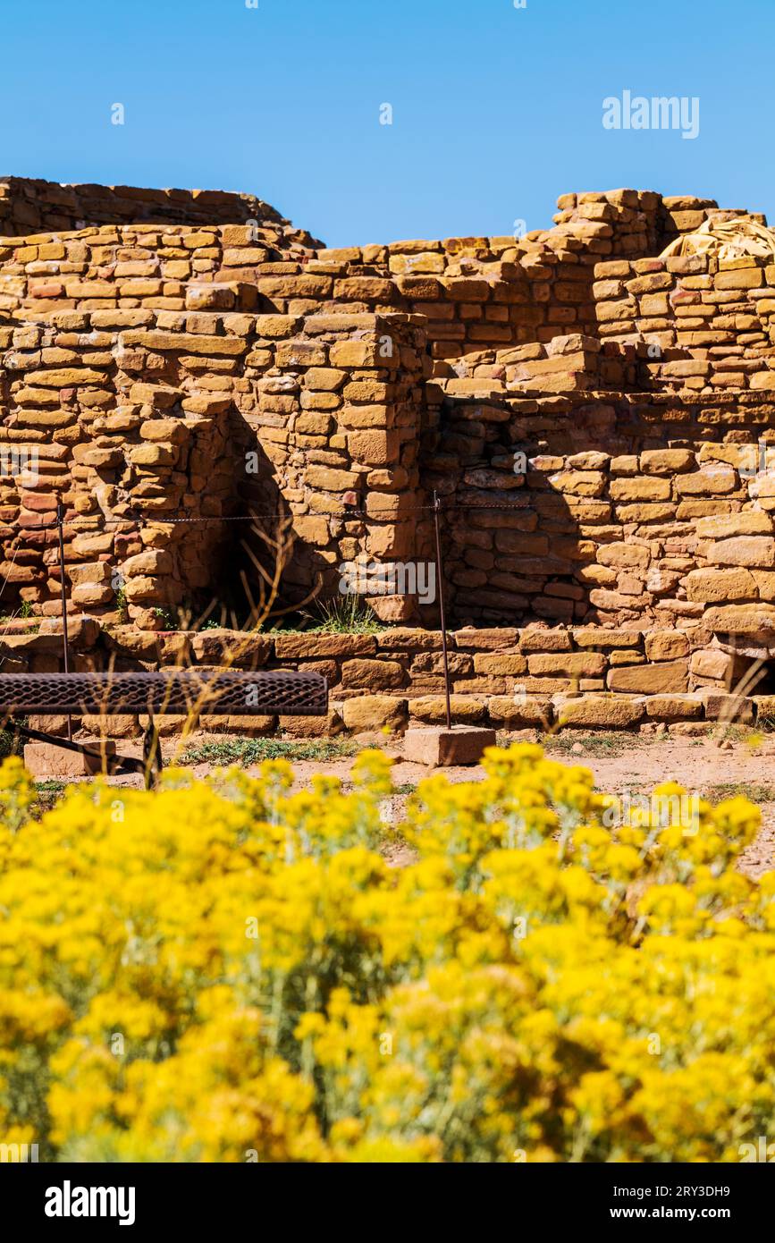 Details zum adobe Brick Far View House; Mesa Verde National Park; Colorado; USA Stockfoto