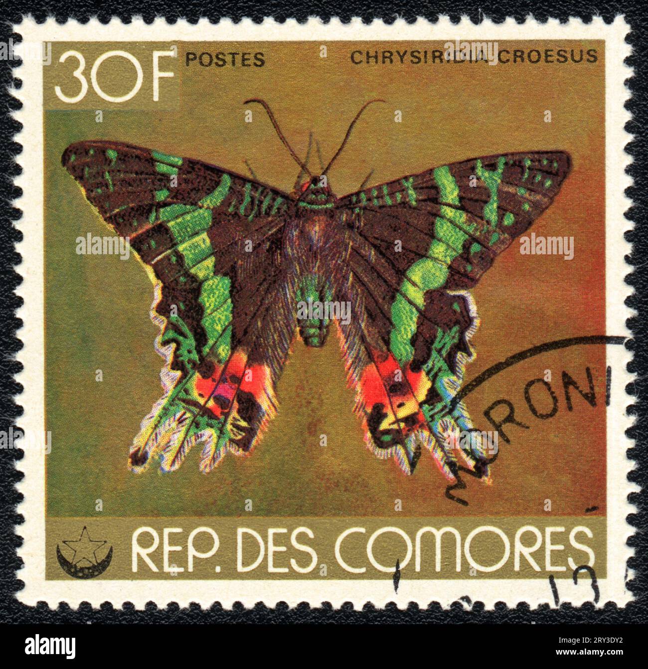 Ein REP.COMORES gedruckter Stempel zeigt Schmetterling Uraniinae oder Urananinmotte aus der Serie um 1977 Stockfoto